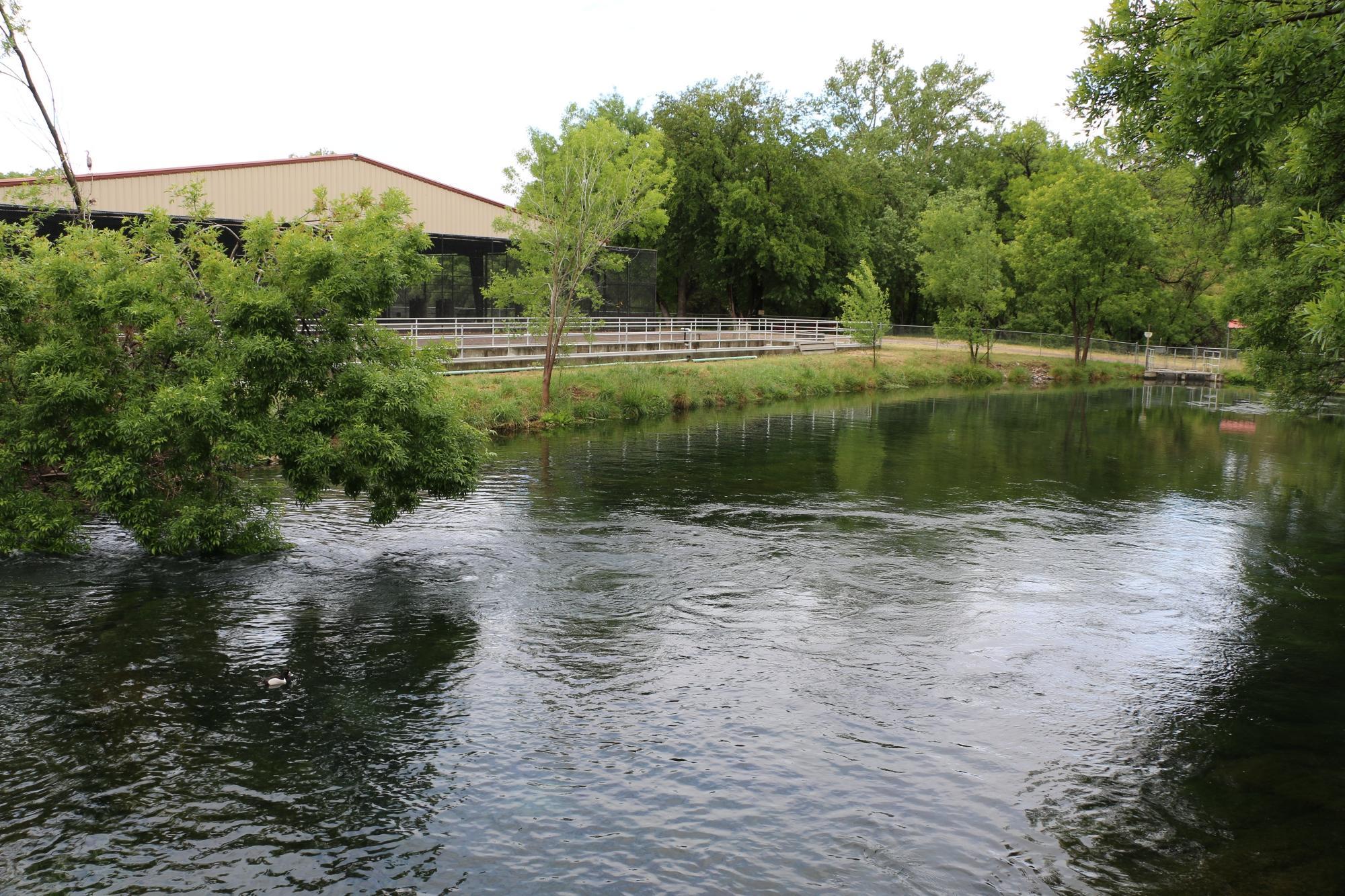 Page Springs Hatchery