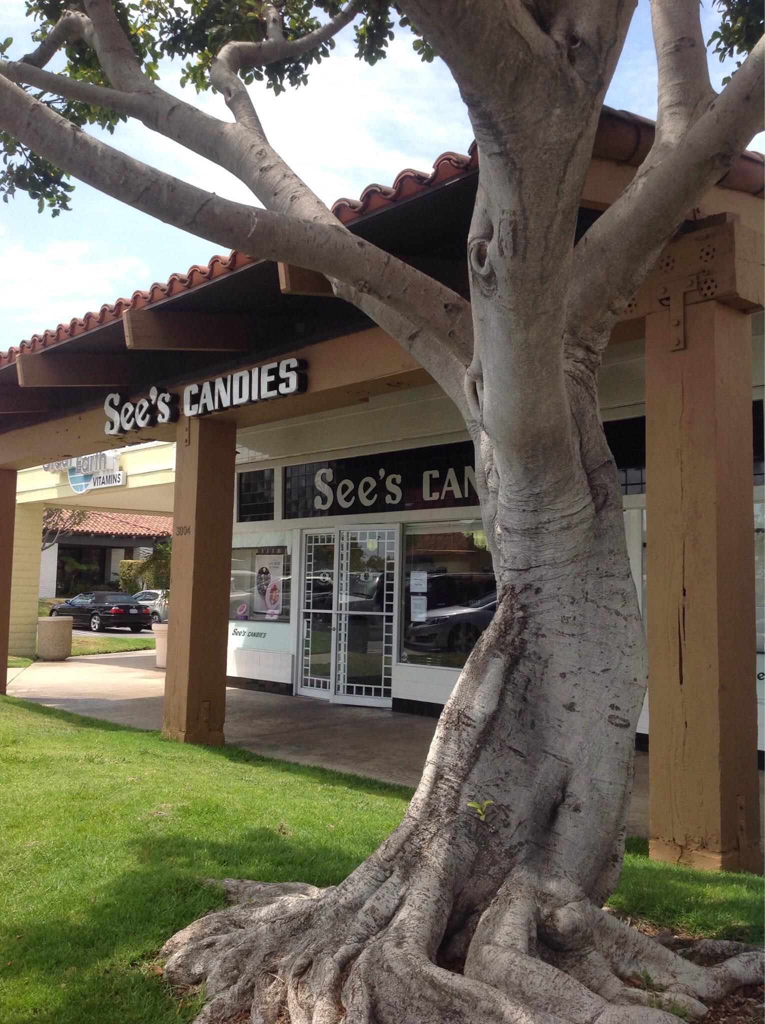 See's Candies Manhattan Village