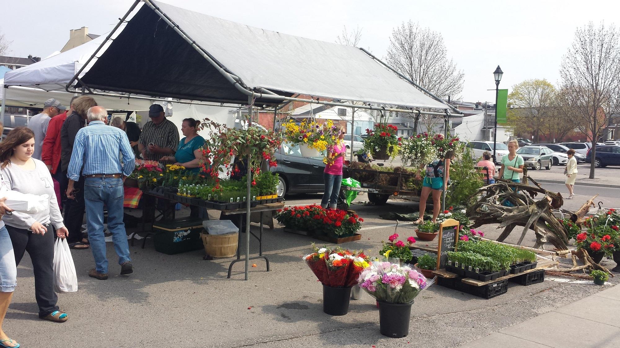 Cobourg Farmers Market