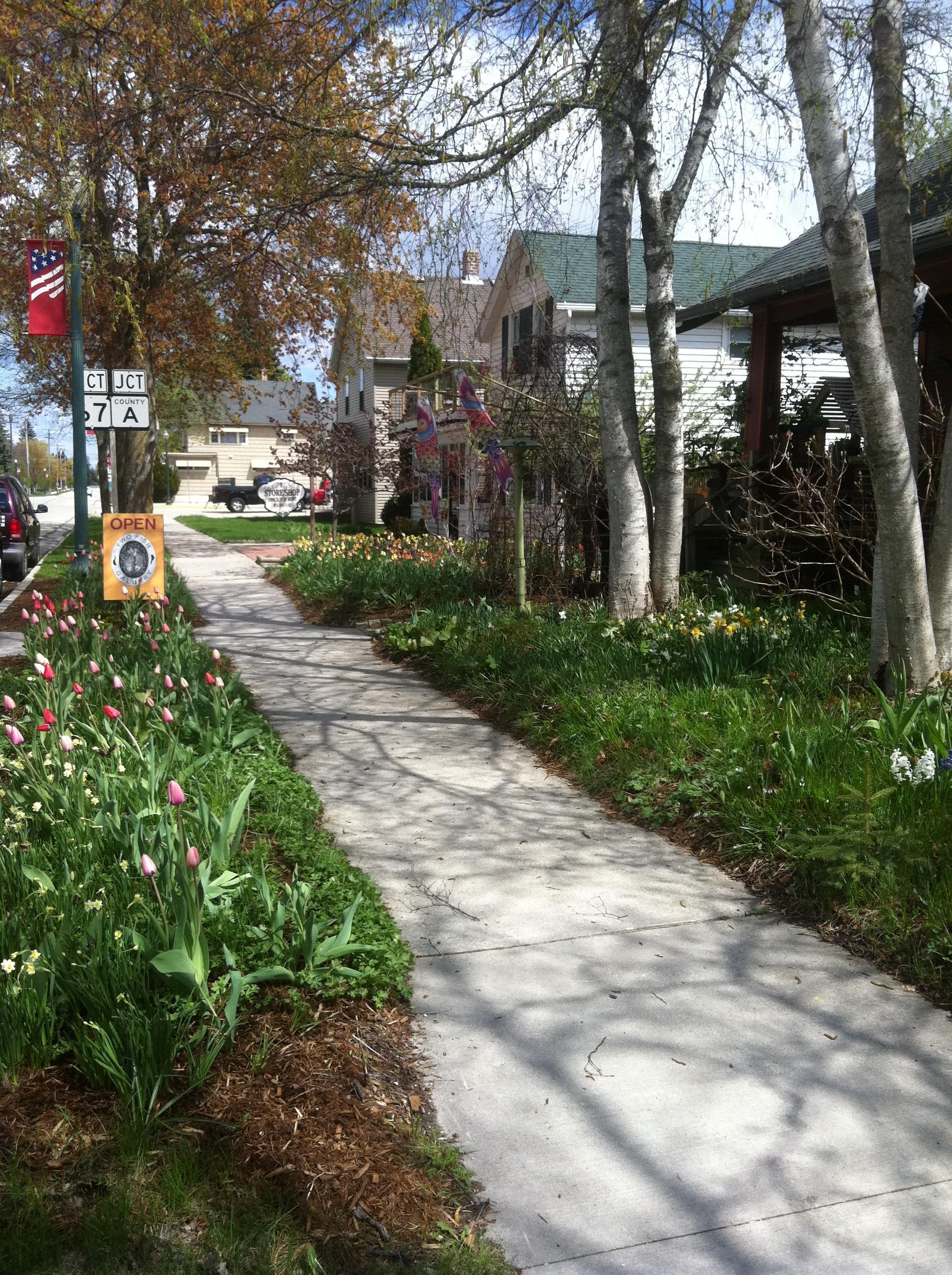 Photo by GardenGirl404