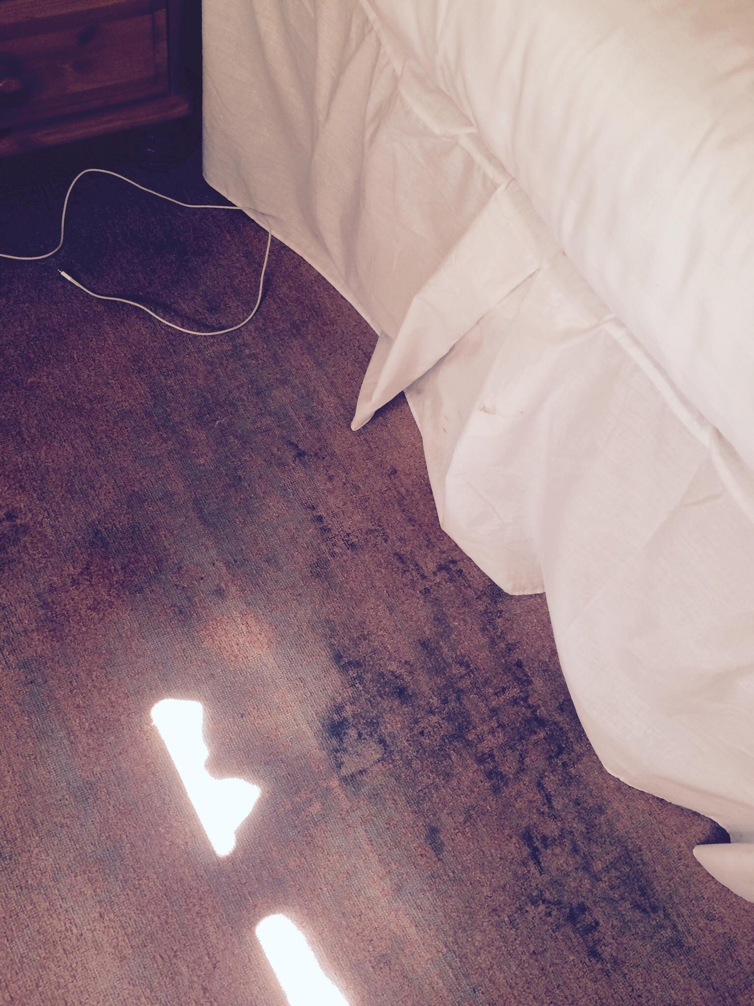 Highlander Guesthouse