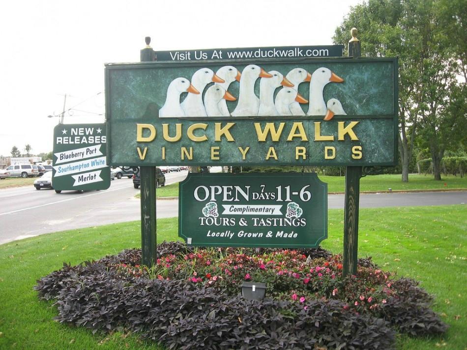 Duckwalk Vineyards
