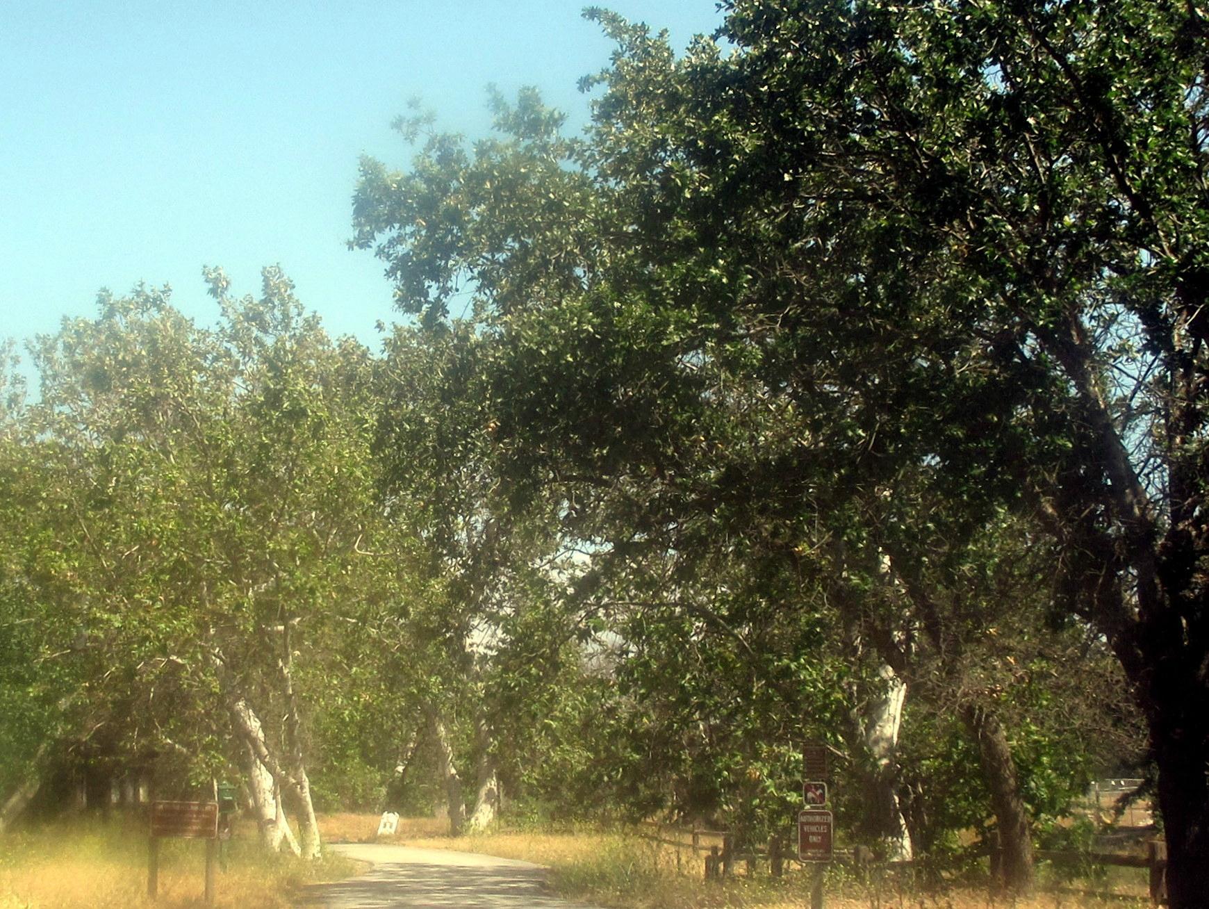 Sycamore Grove Regional Park