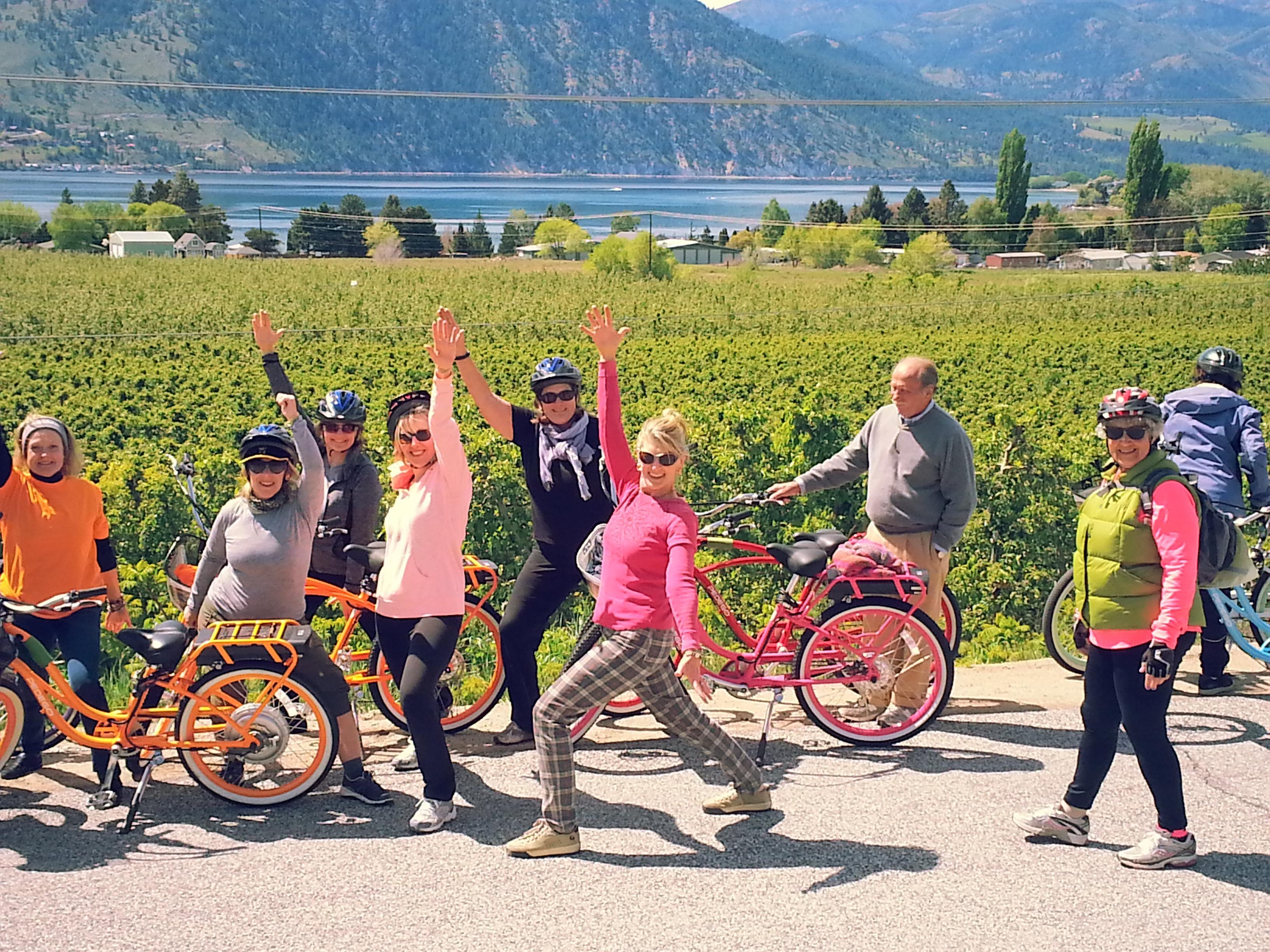 Chelan Electric Bikes