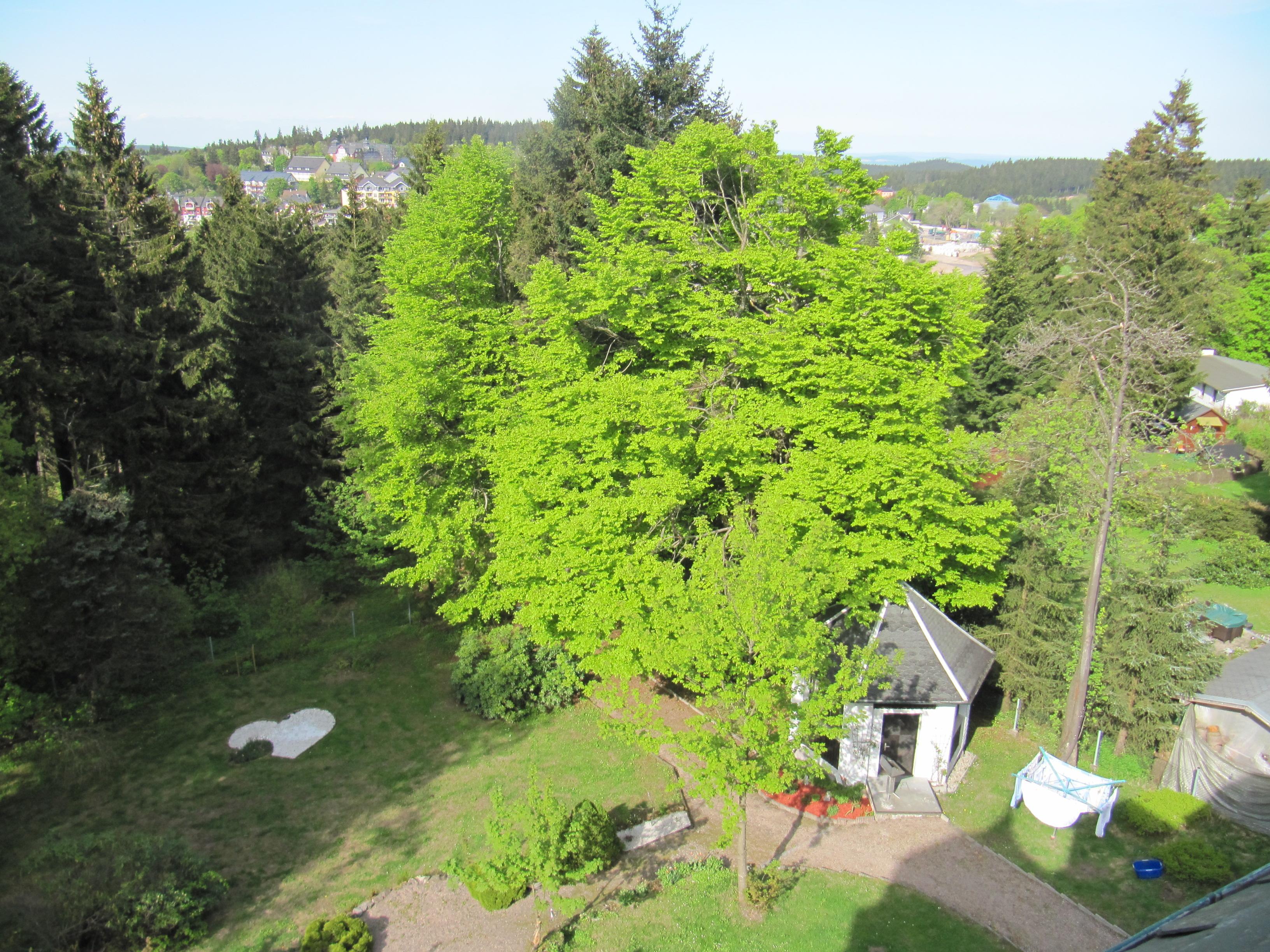 Pension Haus am Waldesrand