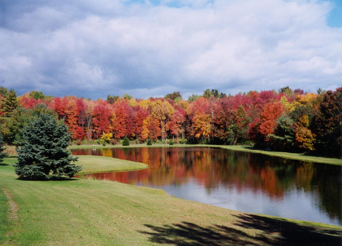 Whispering Pines Camping Estates