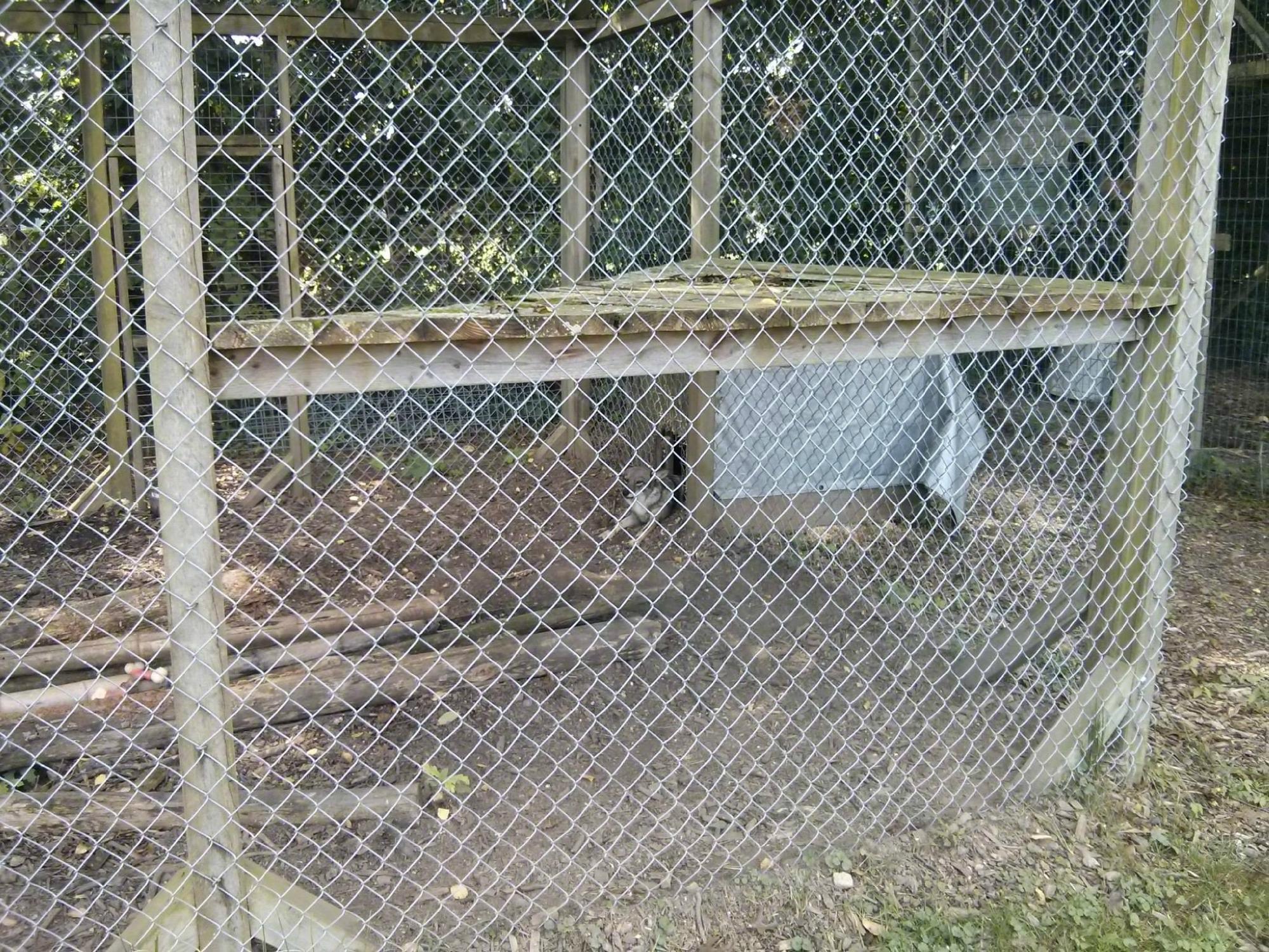 Noah's Lost Ark Animal Park