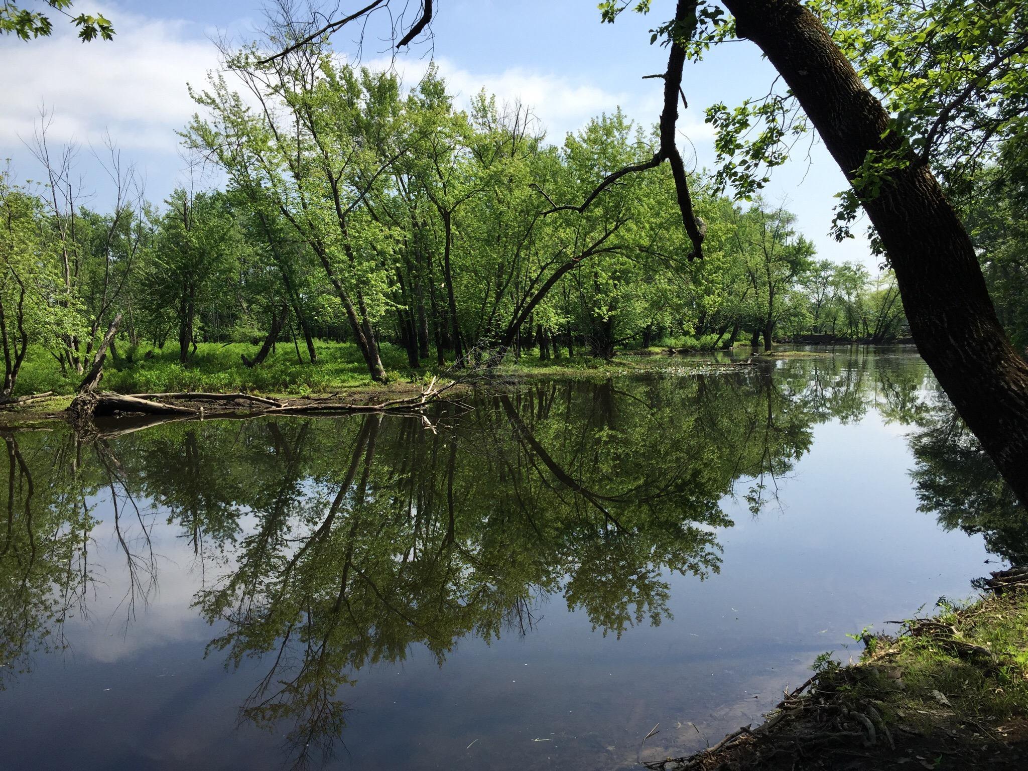 Mass Audubon Arcadia Wildlife Sanctuary