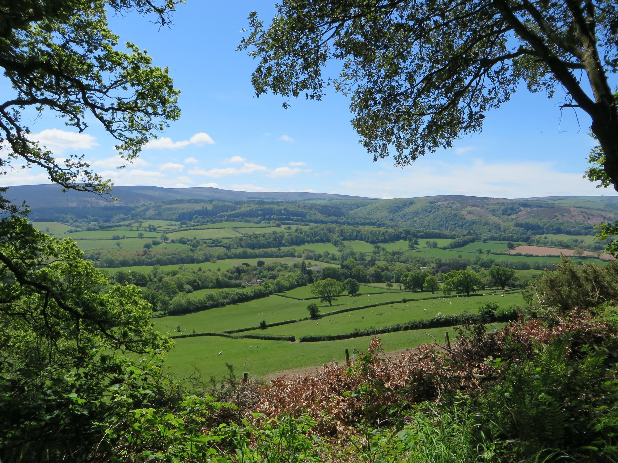 South West Coast Path - Bossington Landscape