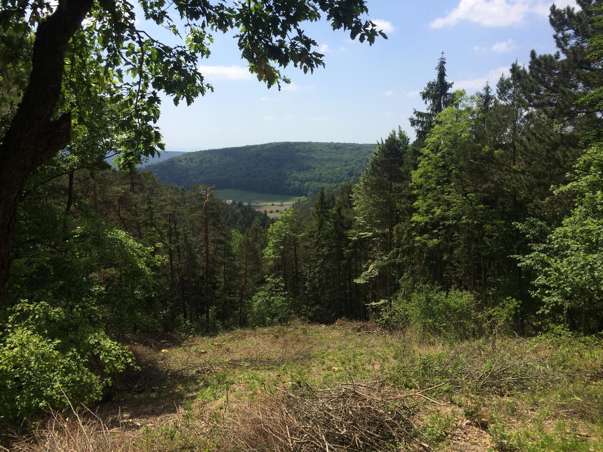 Waldgasthaus Und Hotel Stiefelburg