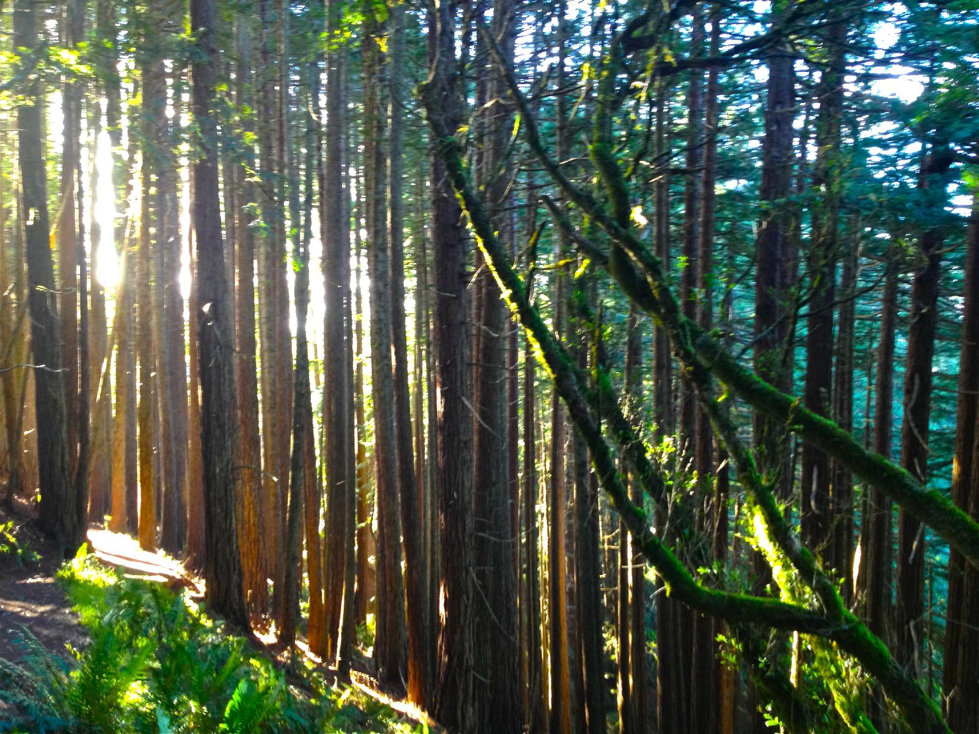 Photo by Jeannier801