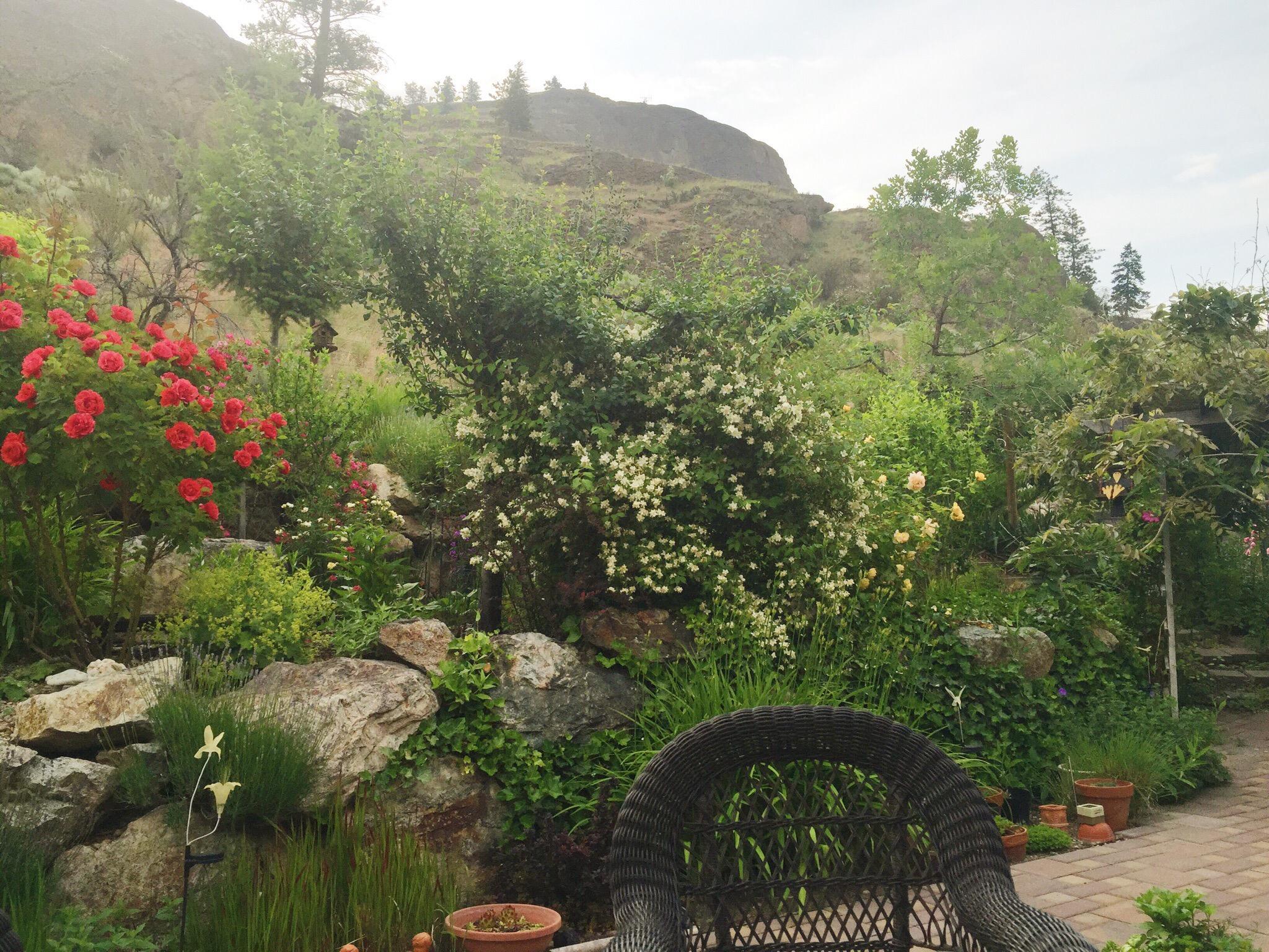 Peachcliff Bed & Breakfast