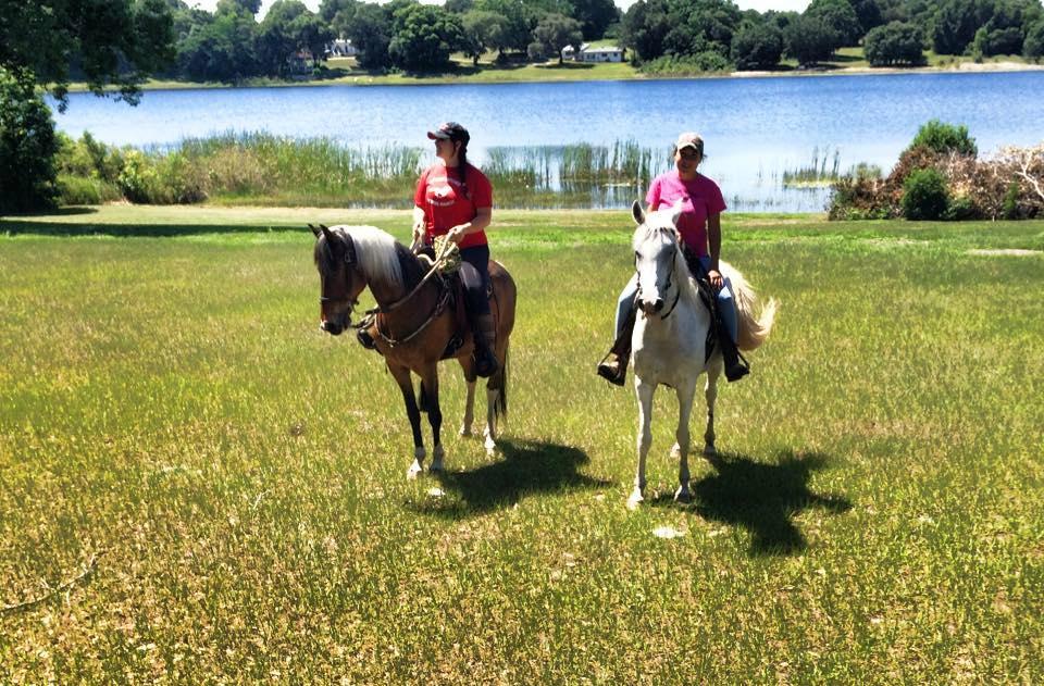 DreamCatcher Horse Ranch and Rescue Center