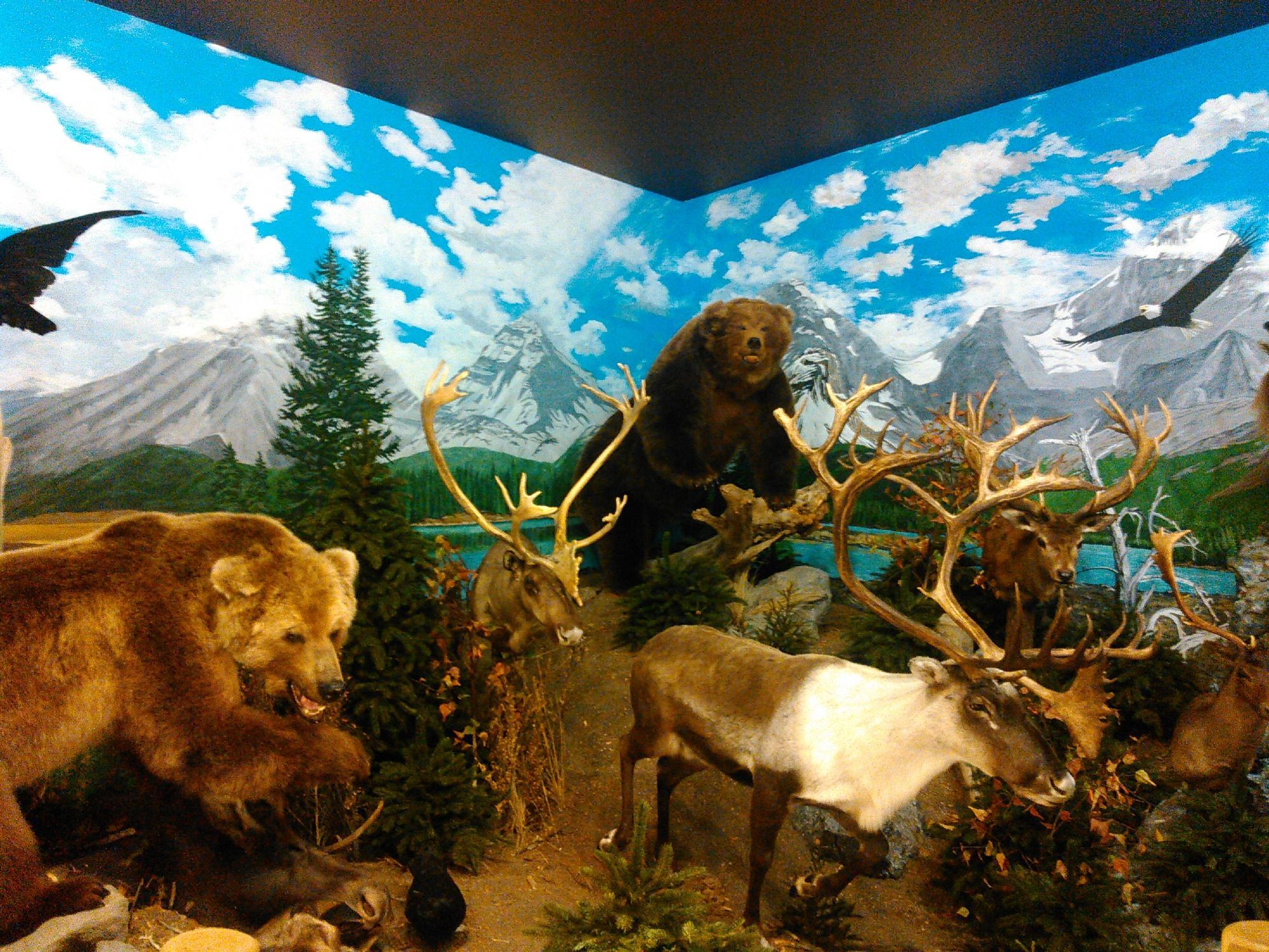 Sundre & District Pioneer Village Museum