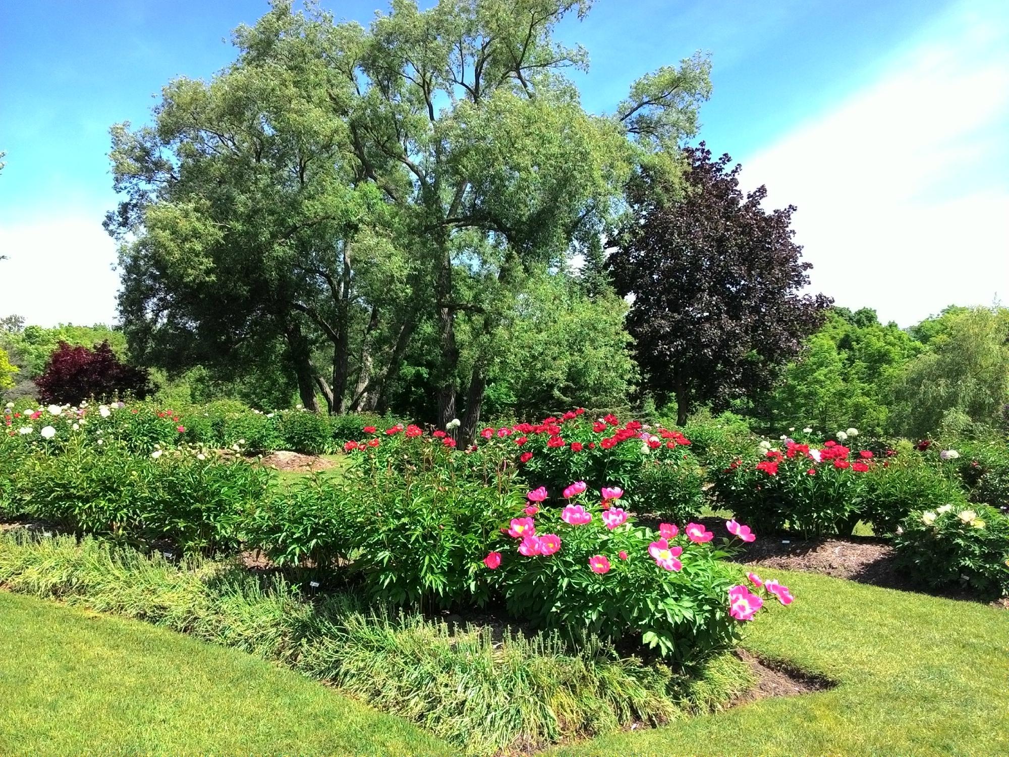 Oshawa Valley Botanical Gardens