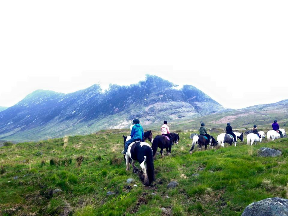 North Sannox Pony Trekking