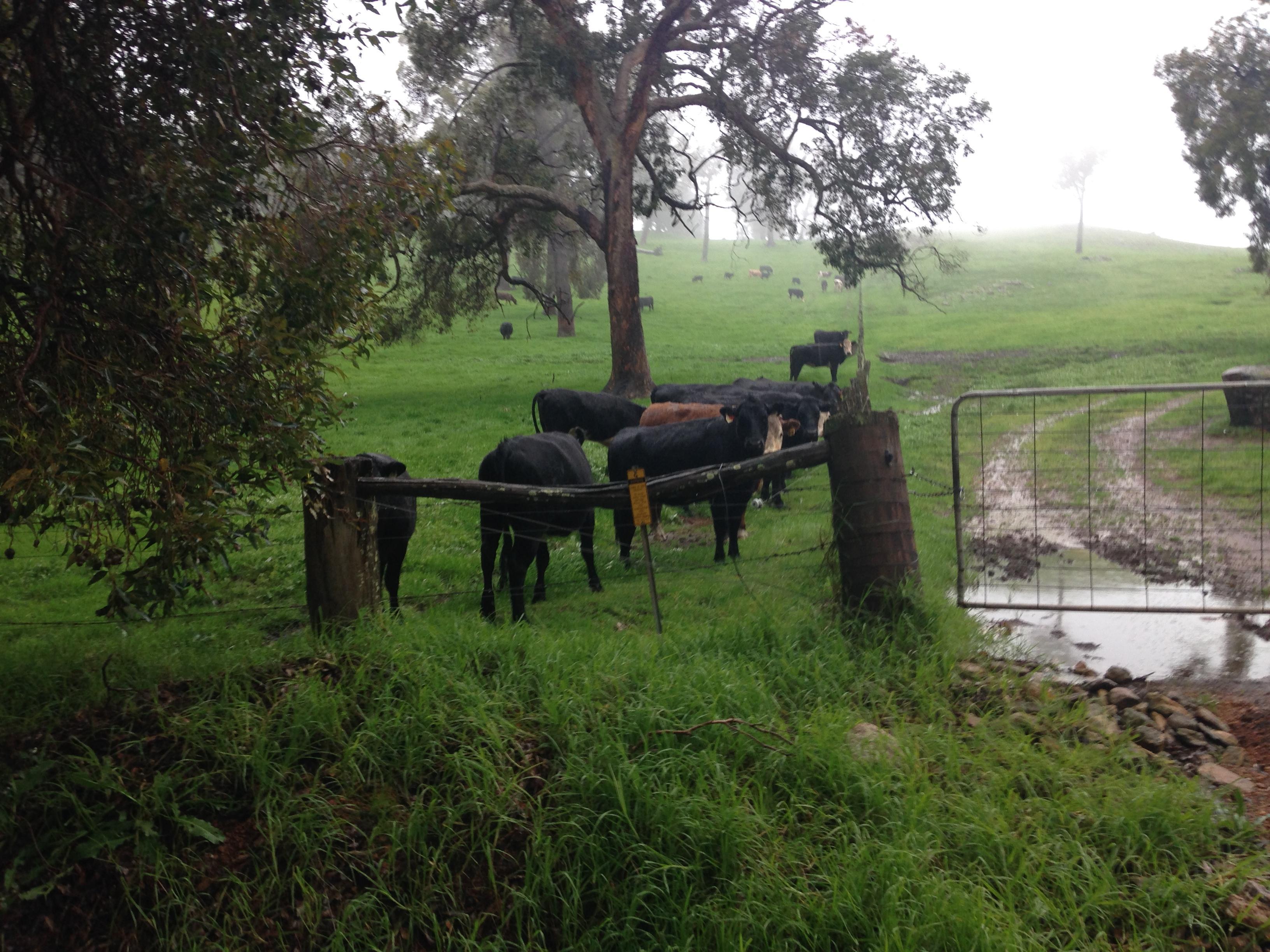 Casey Australia Tours