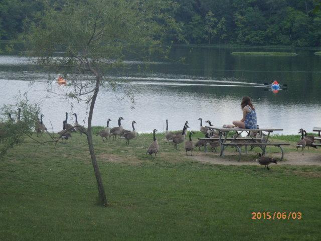 Photo by hobogal3144