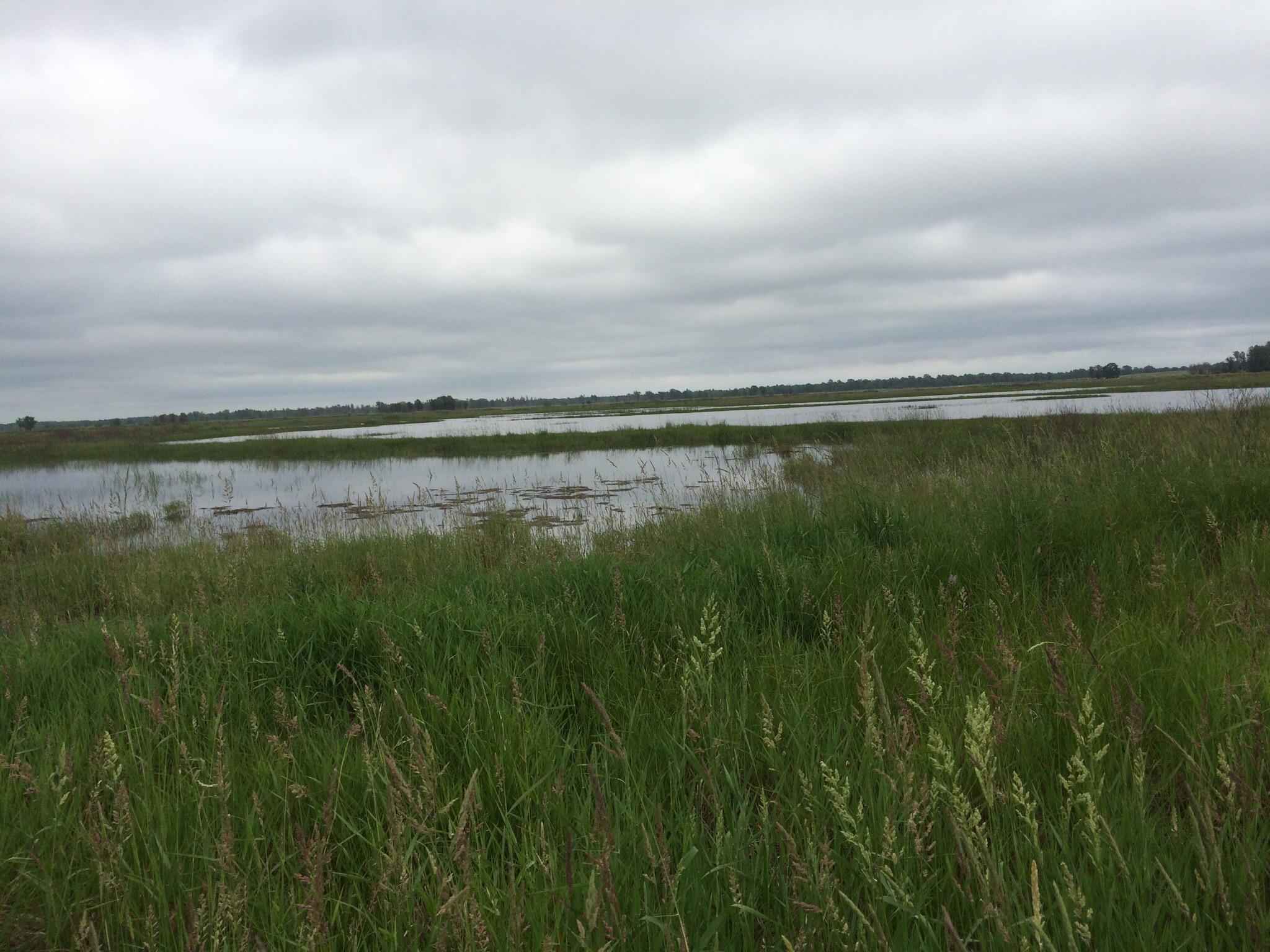Necedah National Wildlife Refuge
