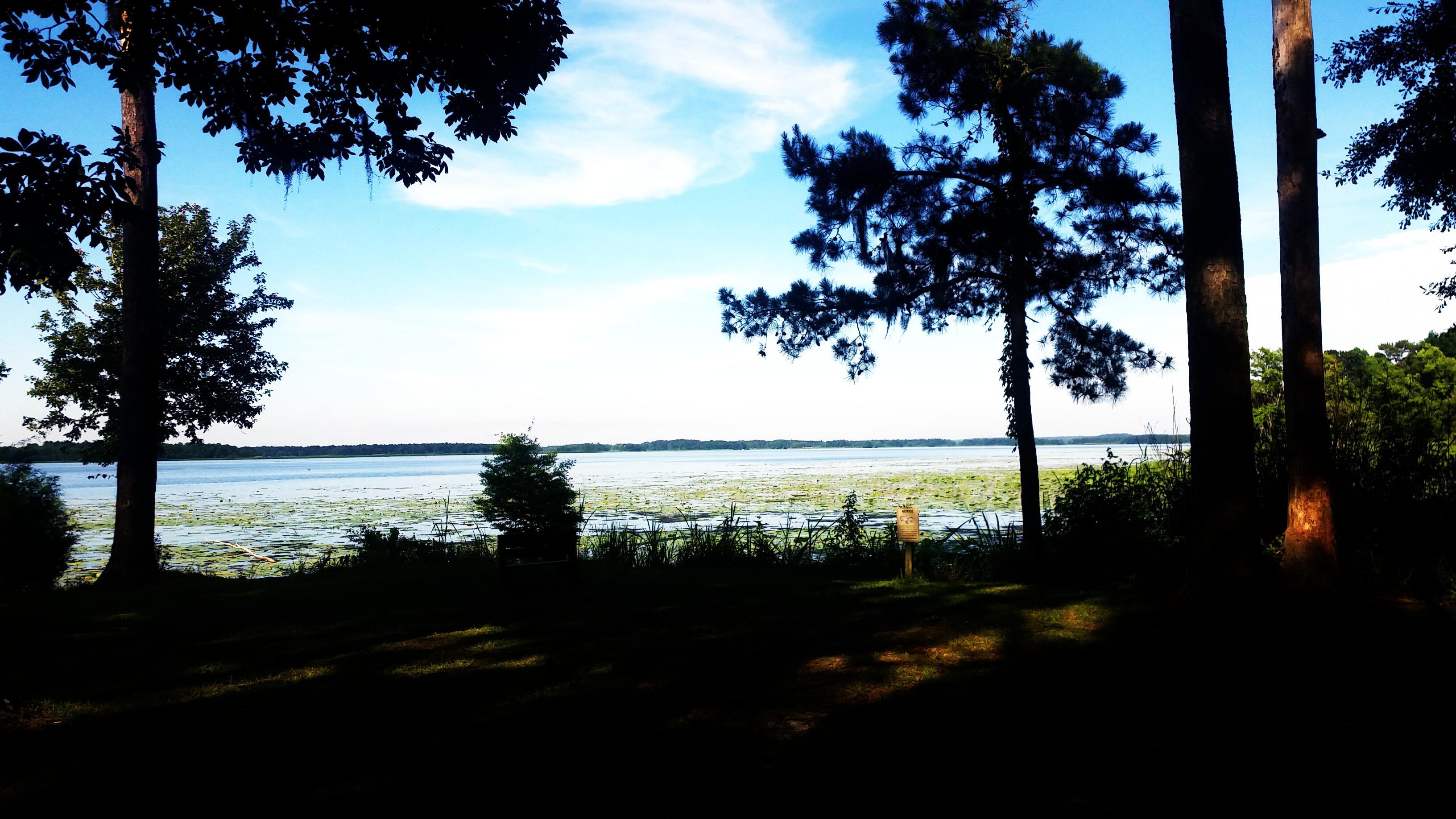 Grand Ridge, FL Map & Directions - MapQuest