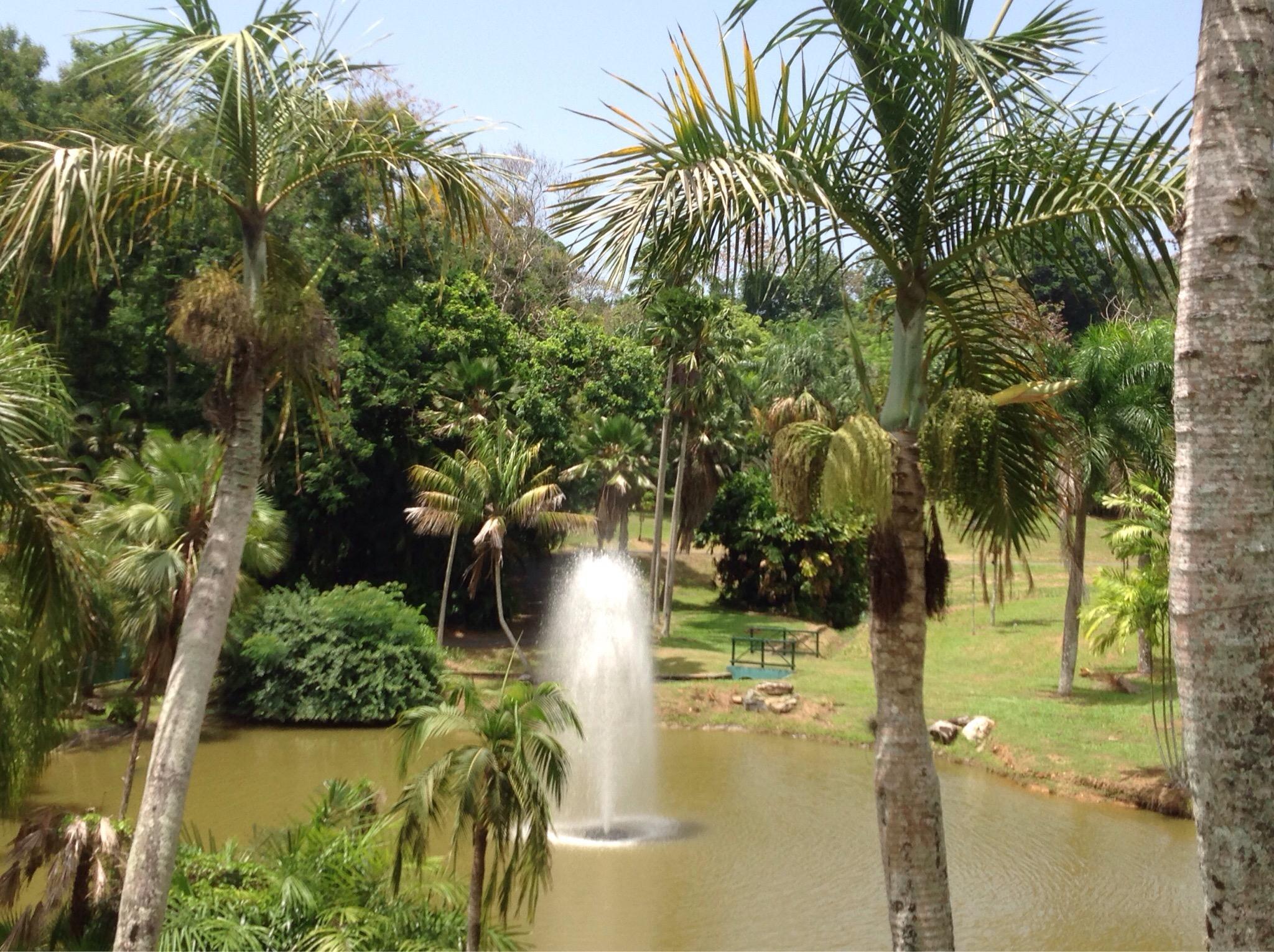Botanical Garden in Rio Piedras