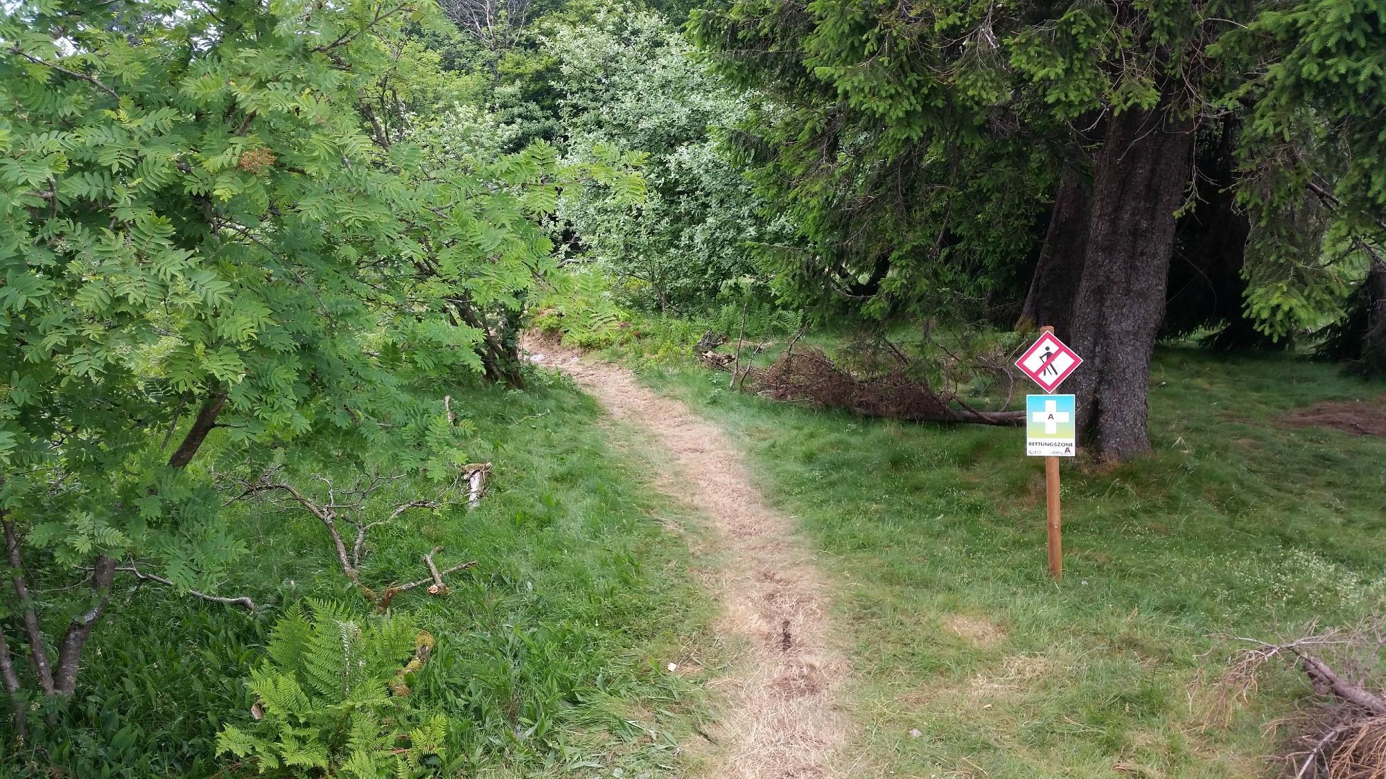 Bikepark Großer Feldberg