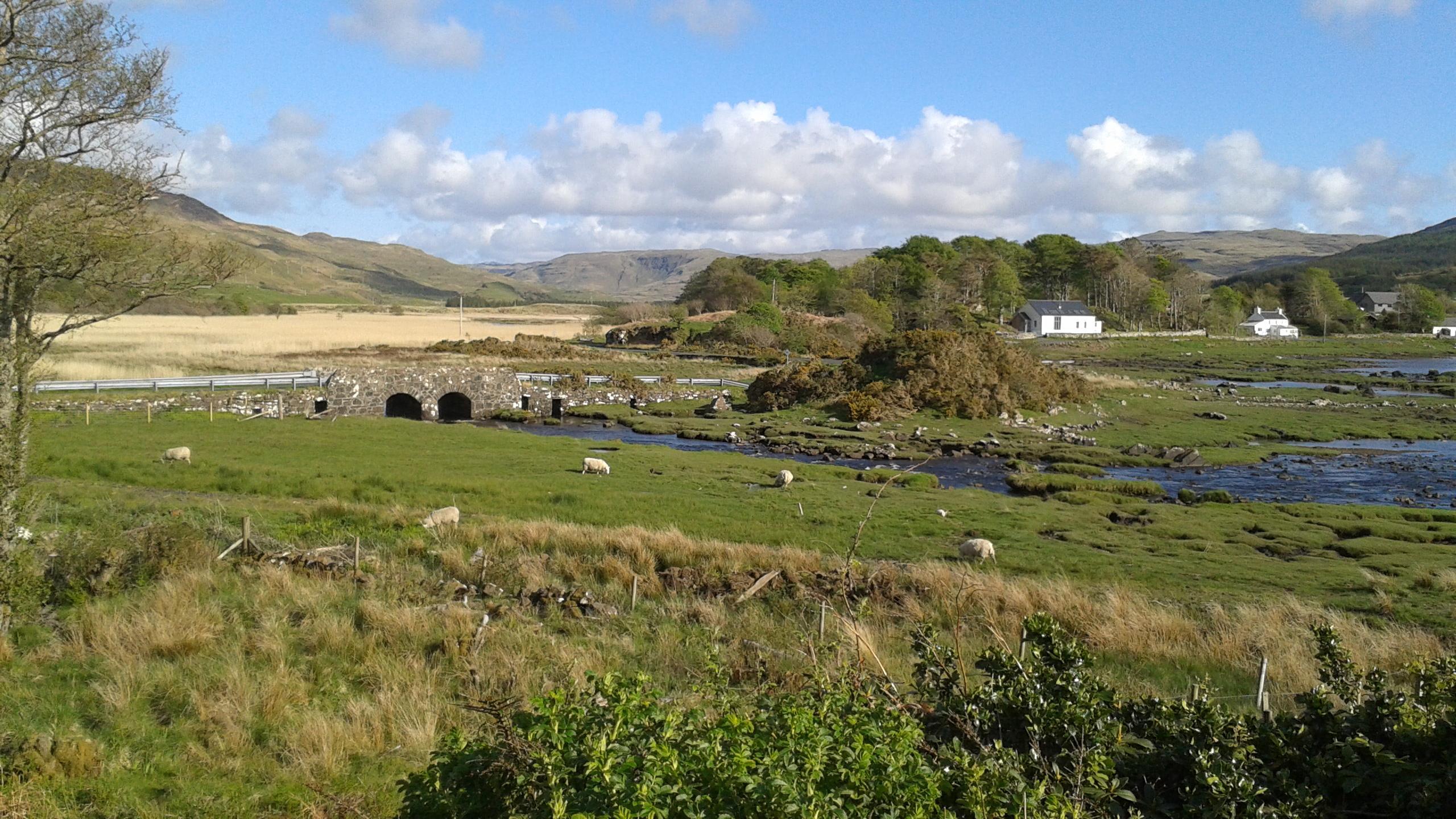 Tigh-Na-Mara Bed & Breakfast