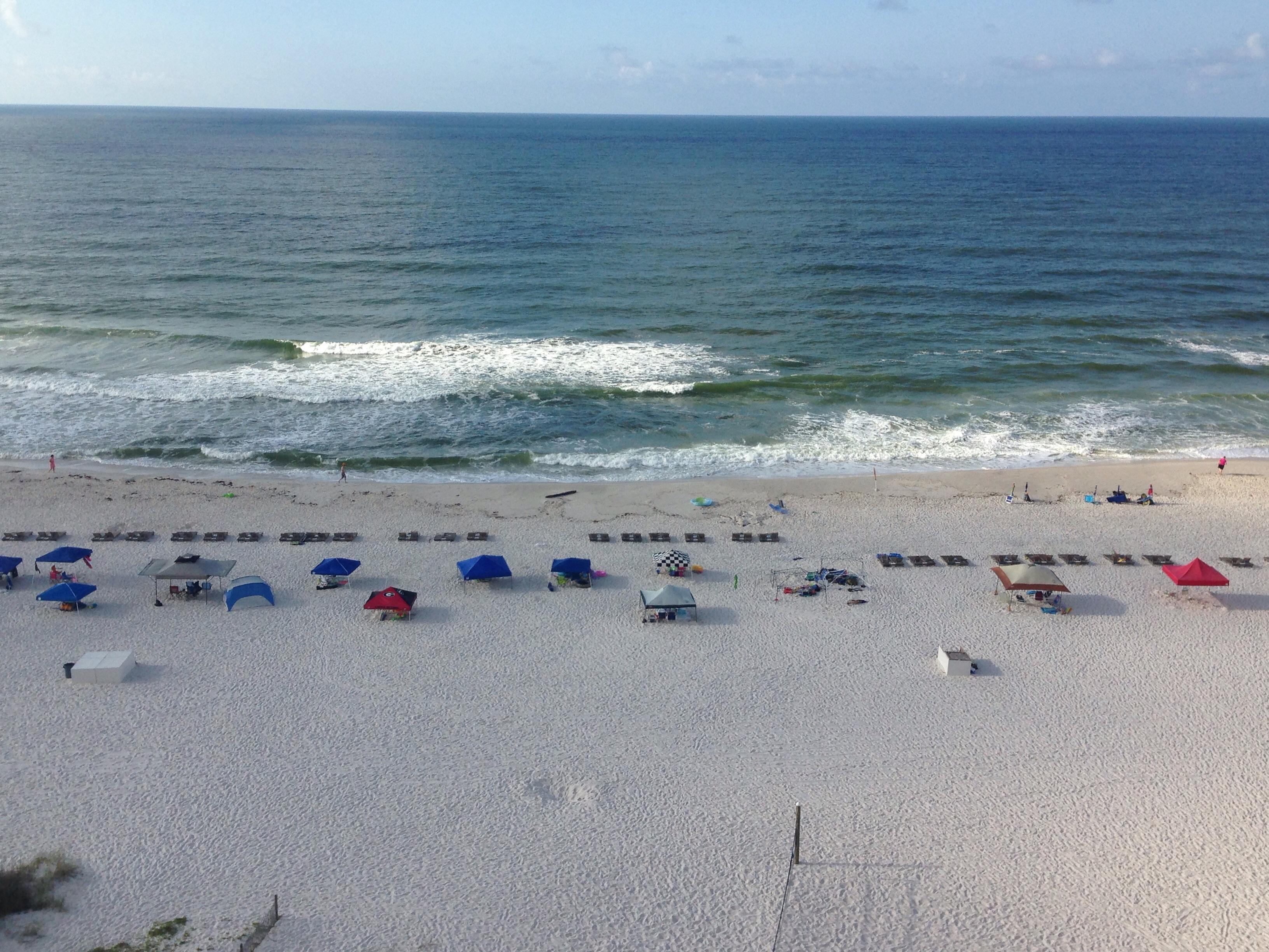 Photo by BeachLuvr33