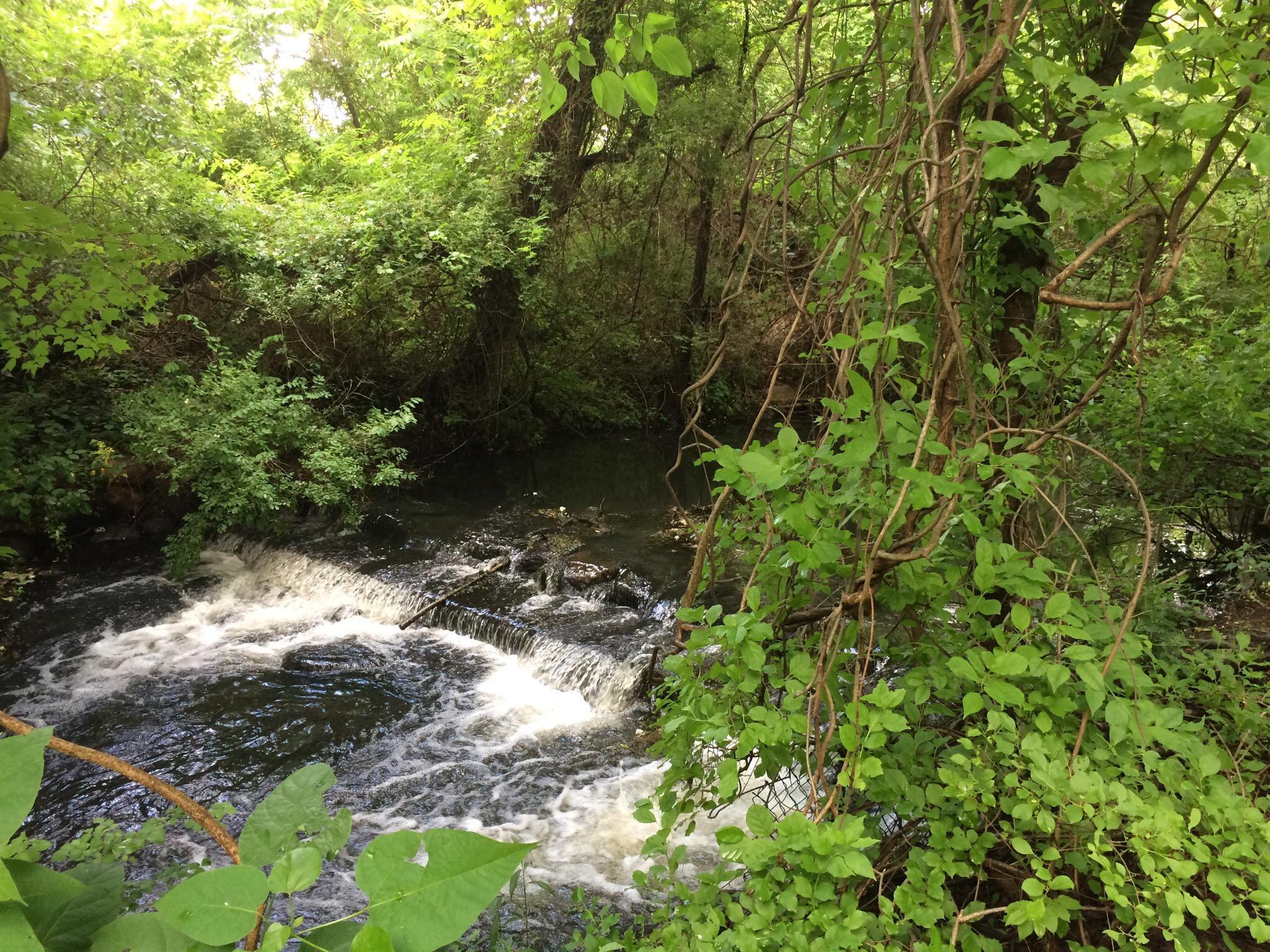 Belmont Lake State Park