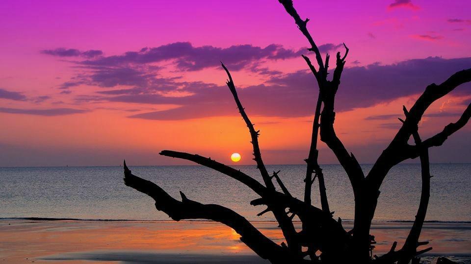 Photo by Swamkrishna