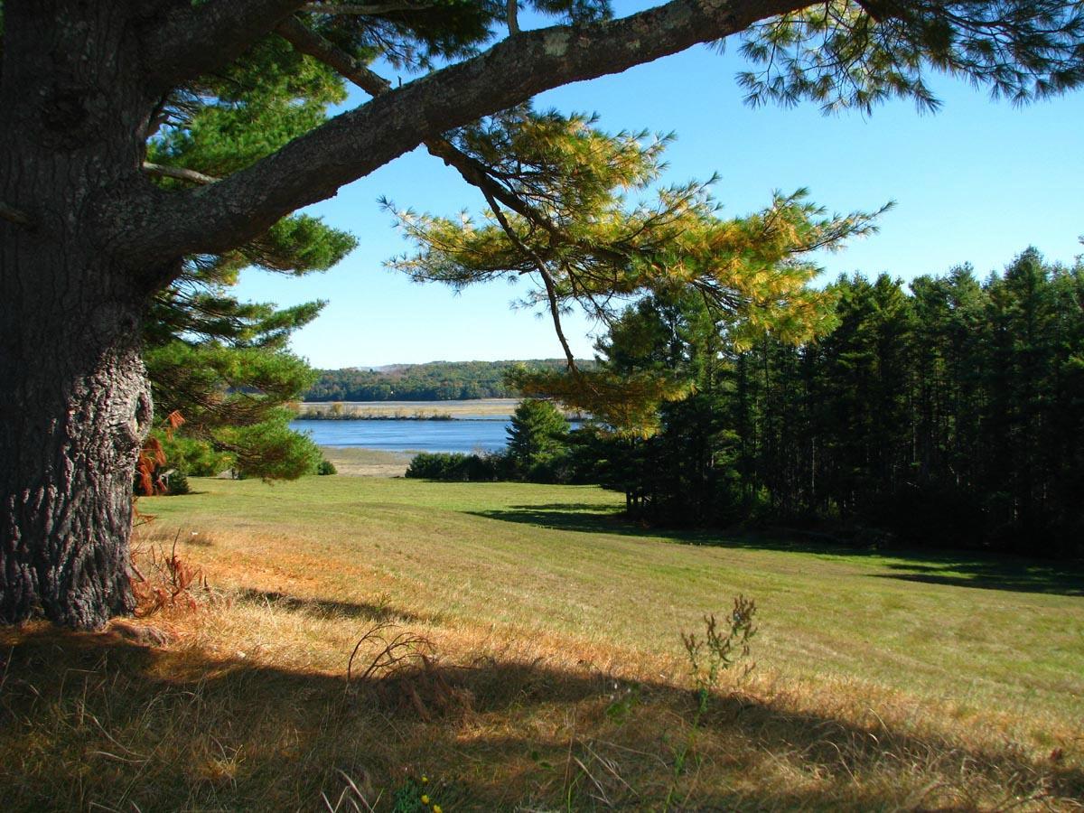 Swan Island Wildlife Management Area