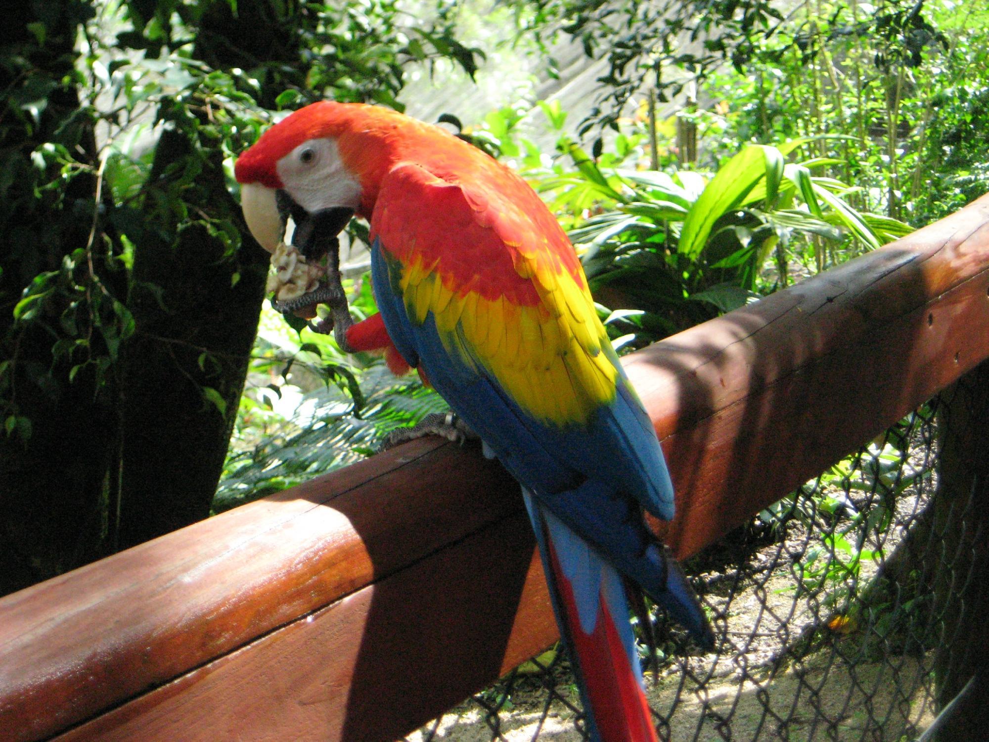 Birdworld Kuranda