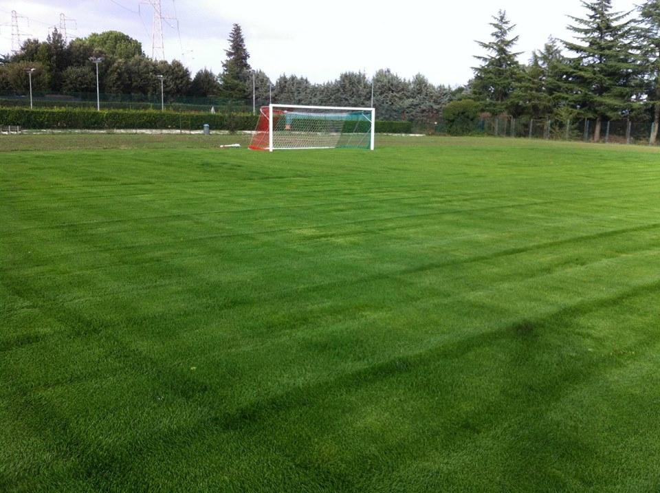 Forty Love Sport Centers