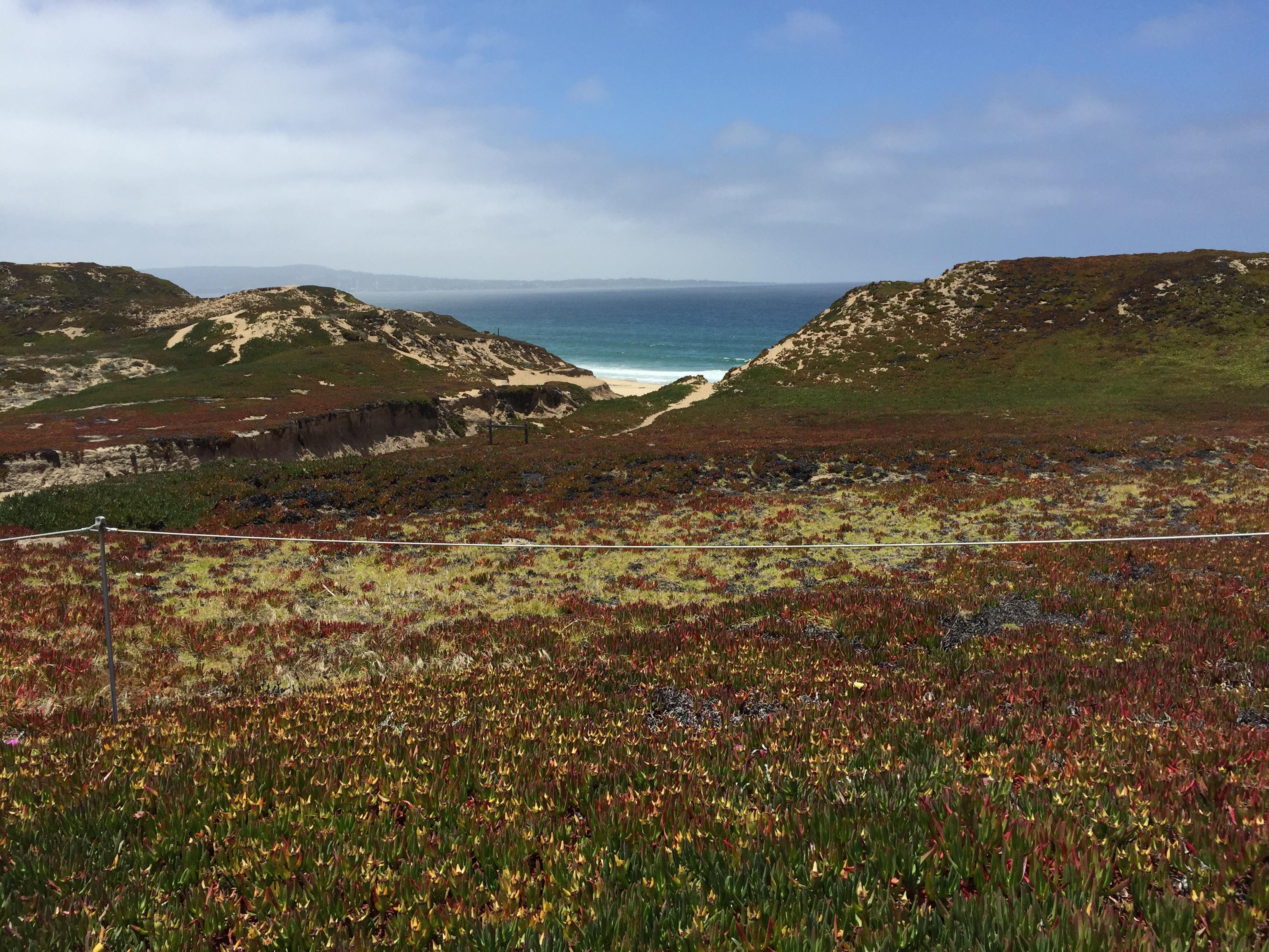 Fort Ord Dunes State Park