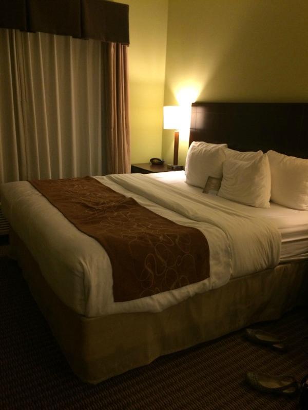 Comfort Suites Harvey - New Orleans West