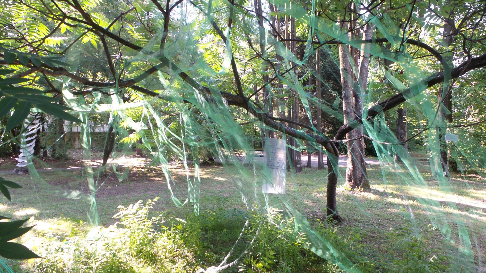 Area Verde Attrezzata Giorgini