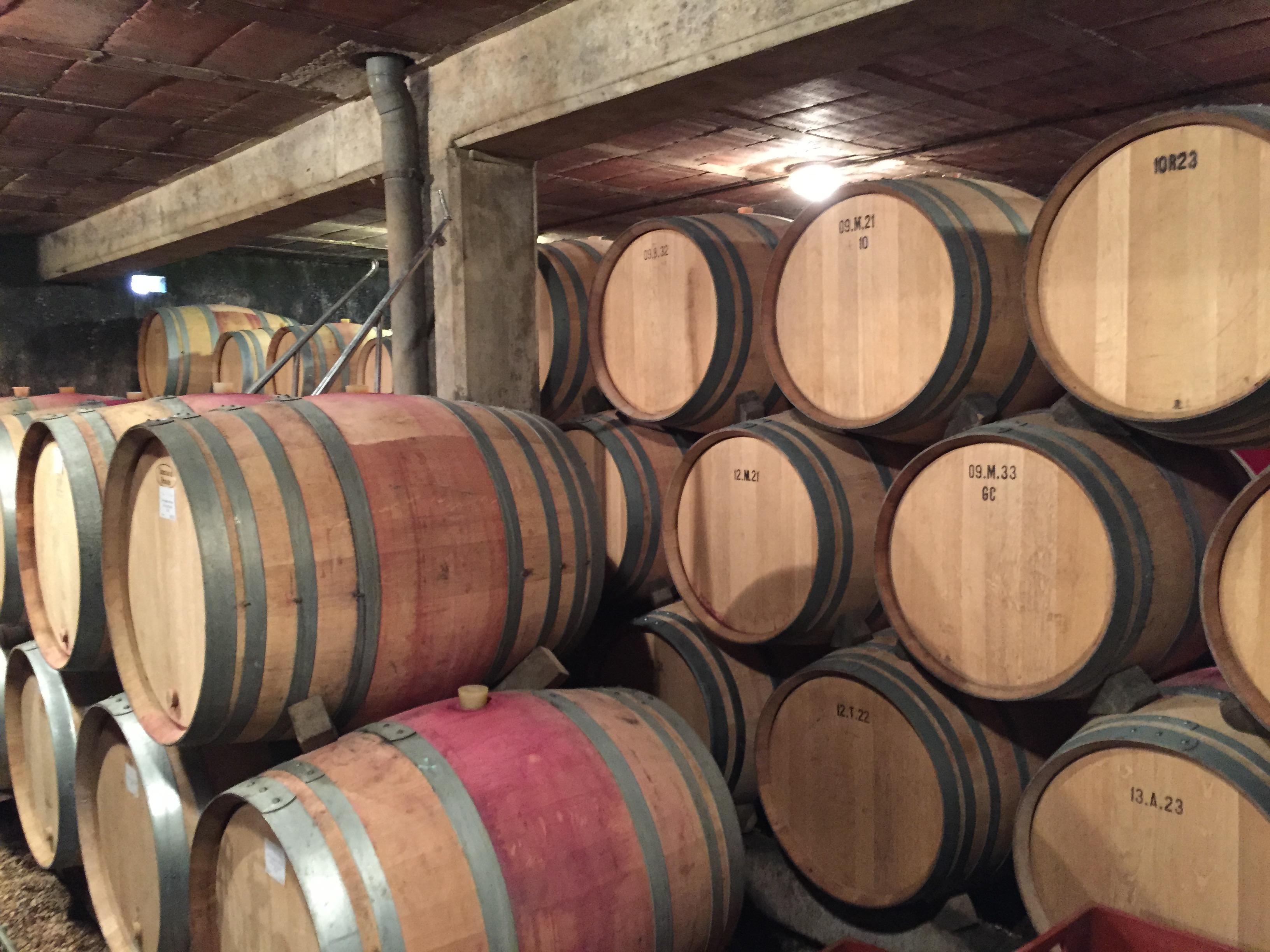 Wine Ambassadeur Tours