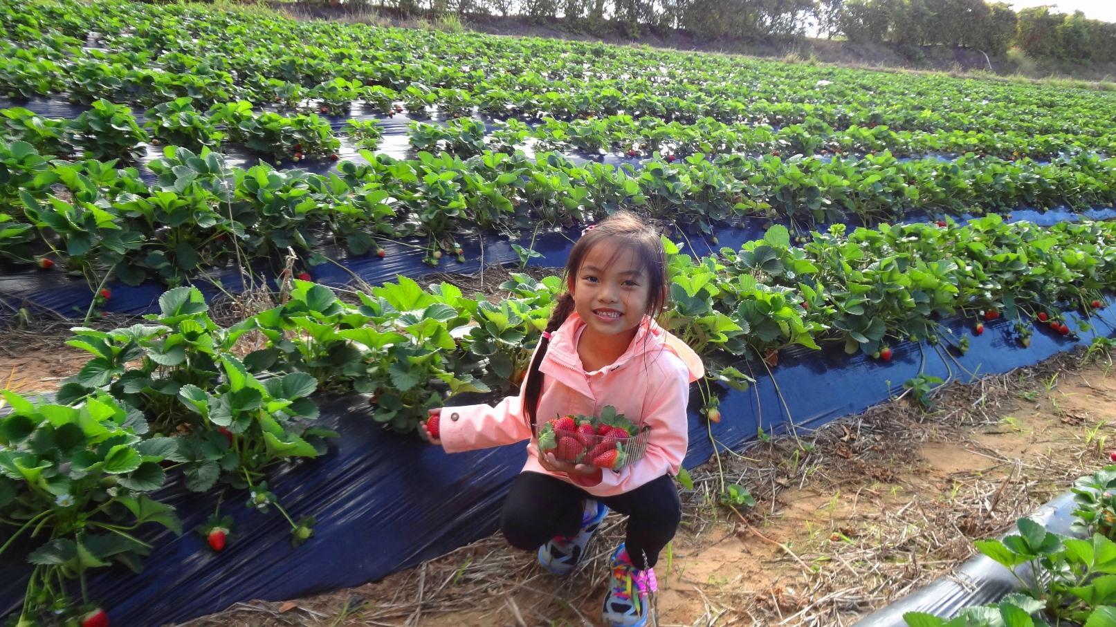 Photo by Peng Boon T