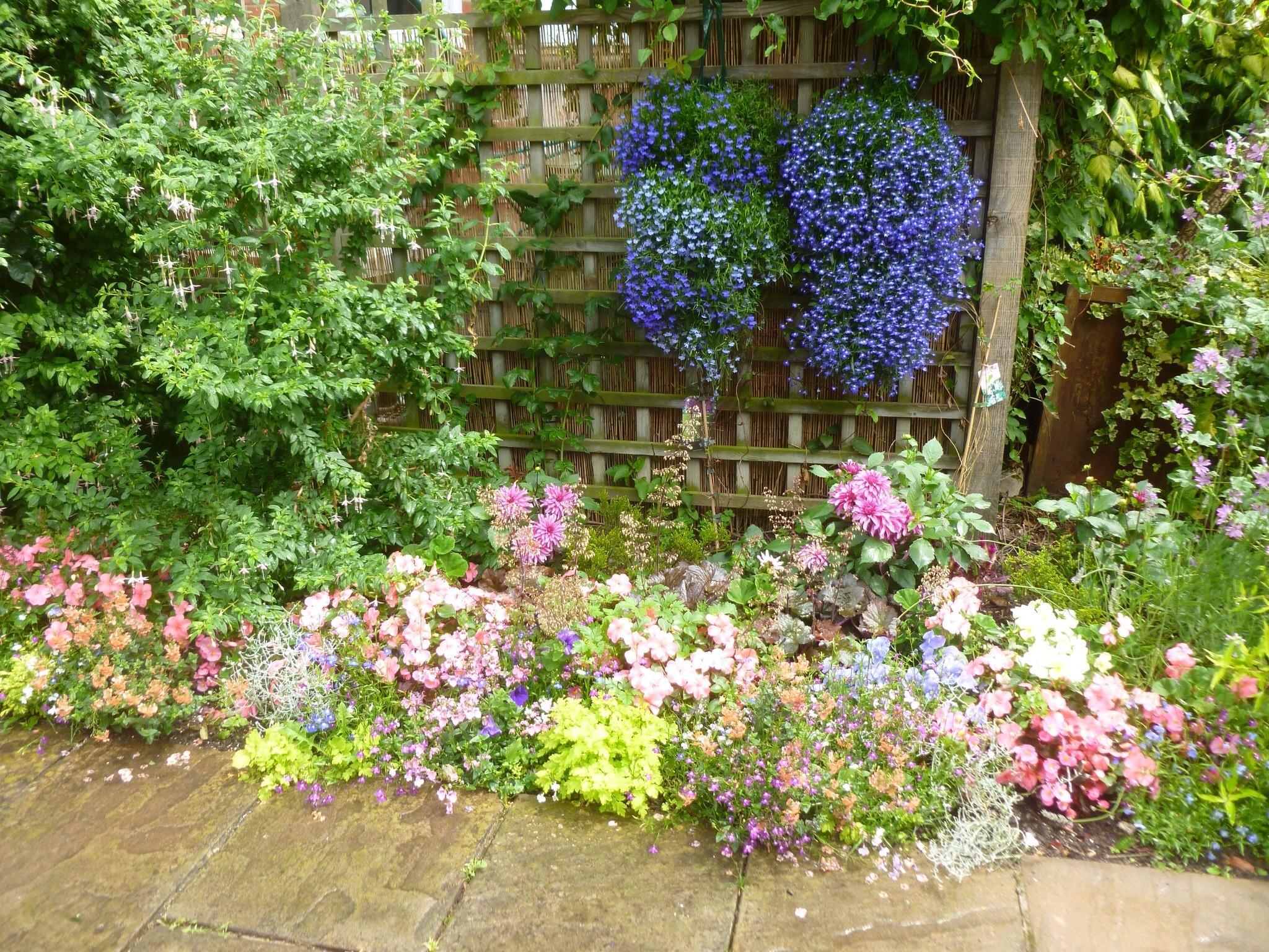 Photo by 456MarilynH