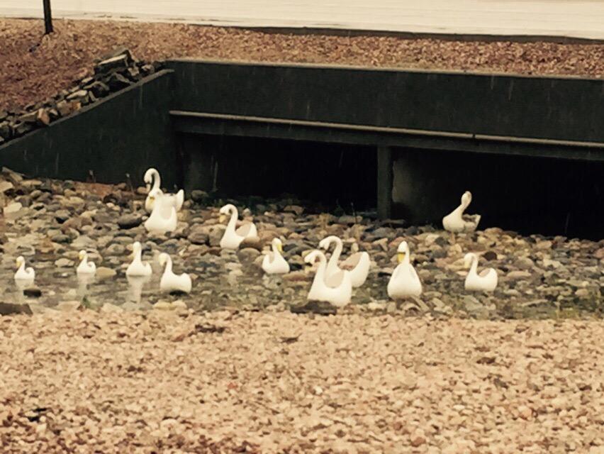 Microtel Inn & Suites by Wyndham Gallup