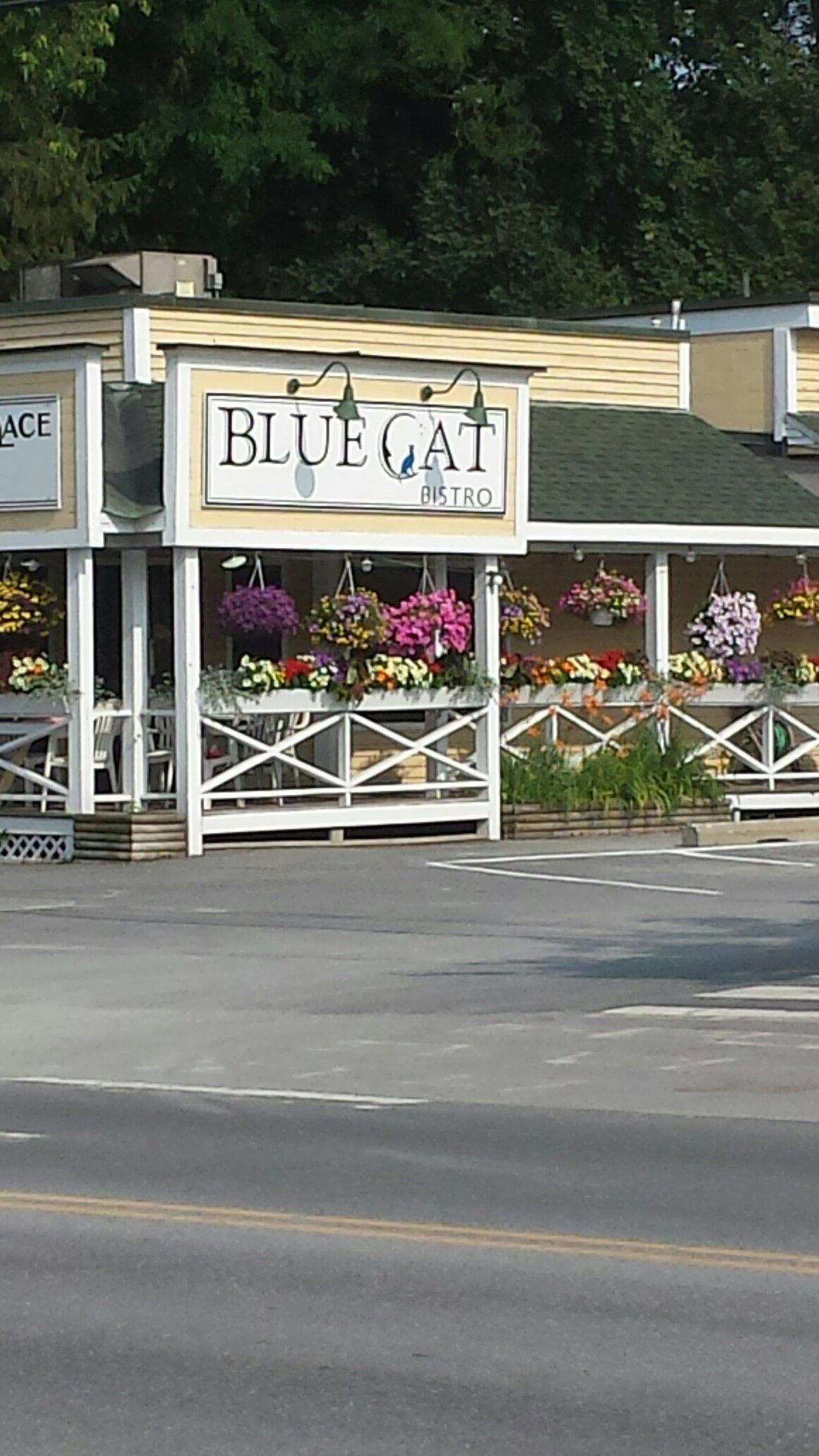 Blue Cat Bistro
