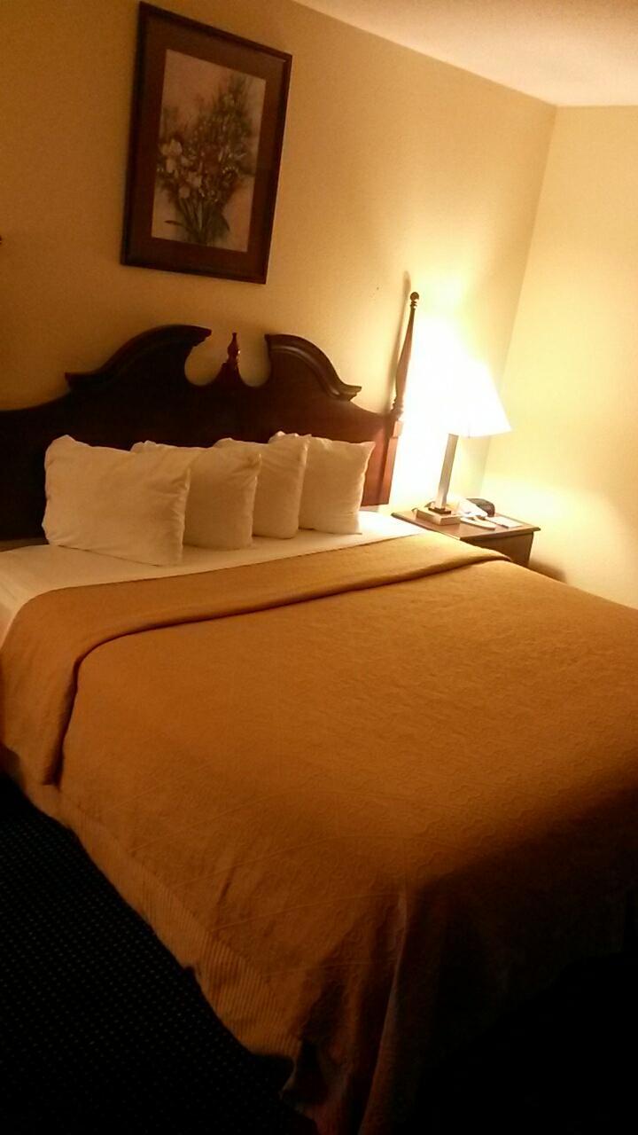 Photo by Traveler_Review