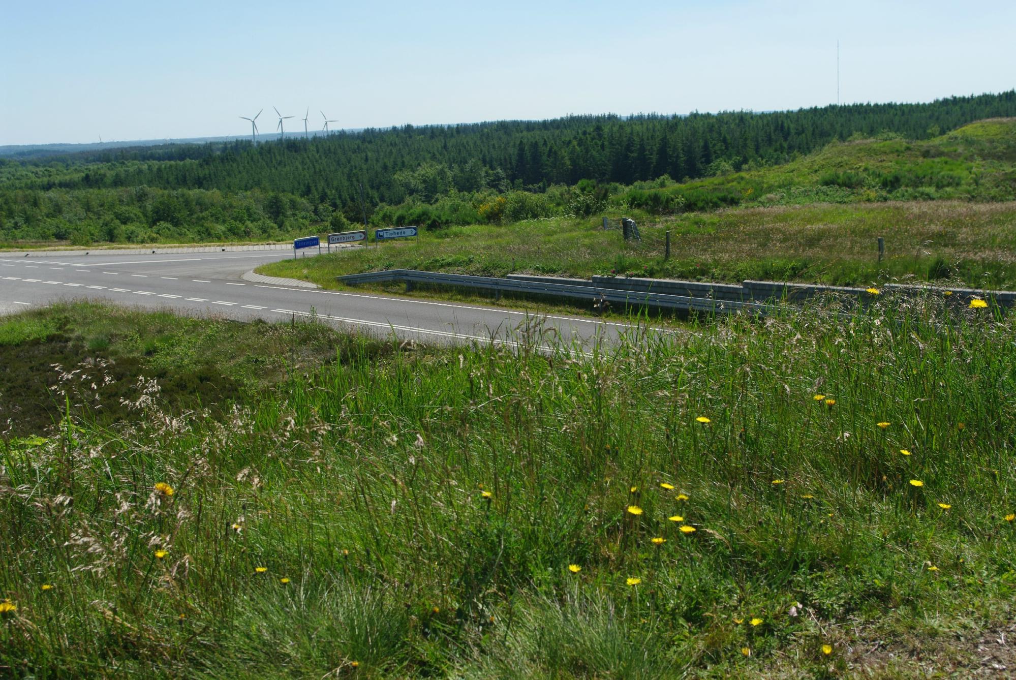 Rundvandretur I Trehoje