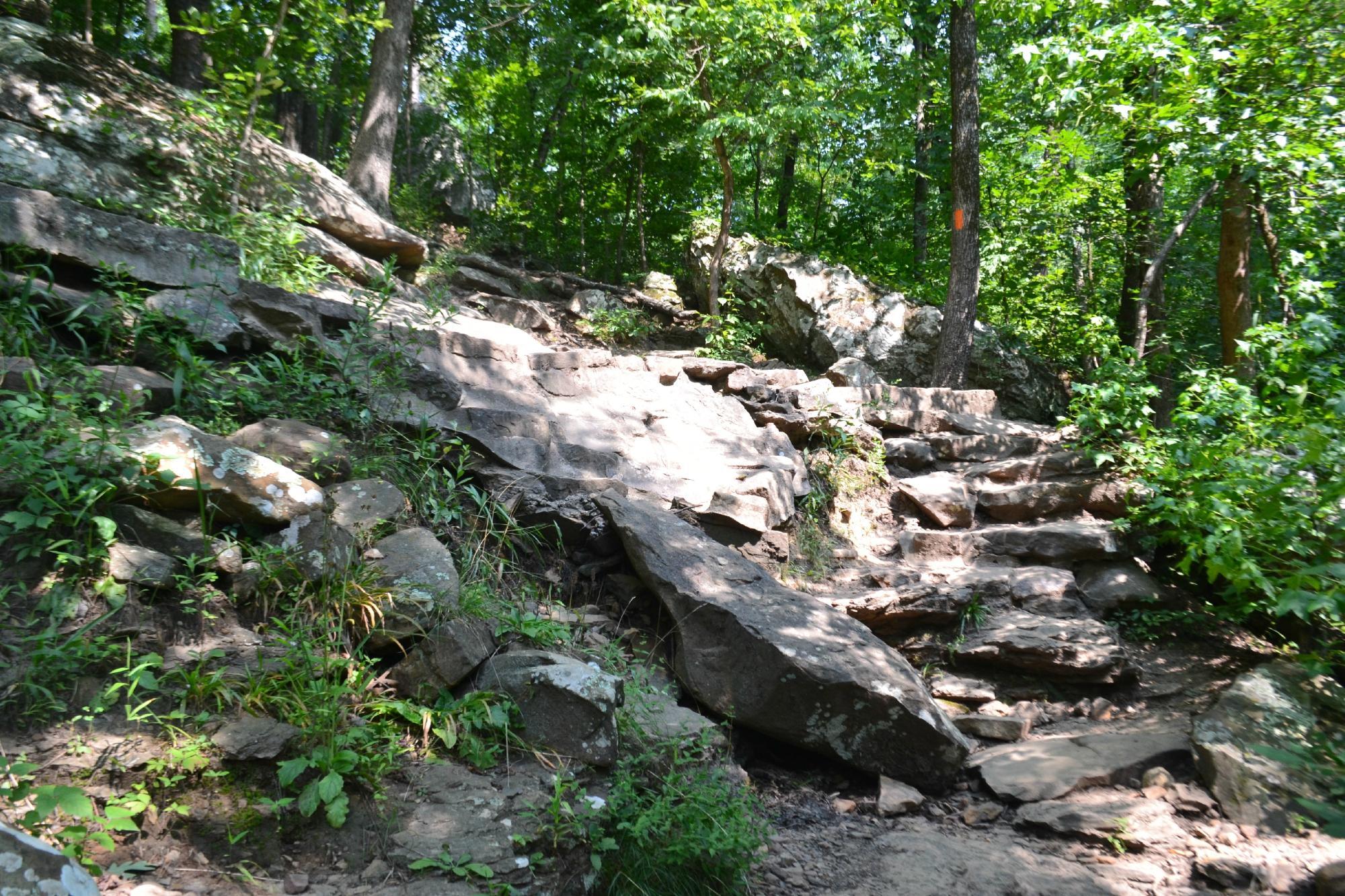 Cedar Falls Trail