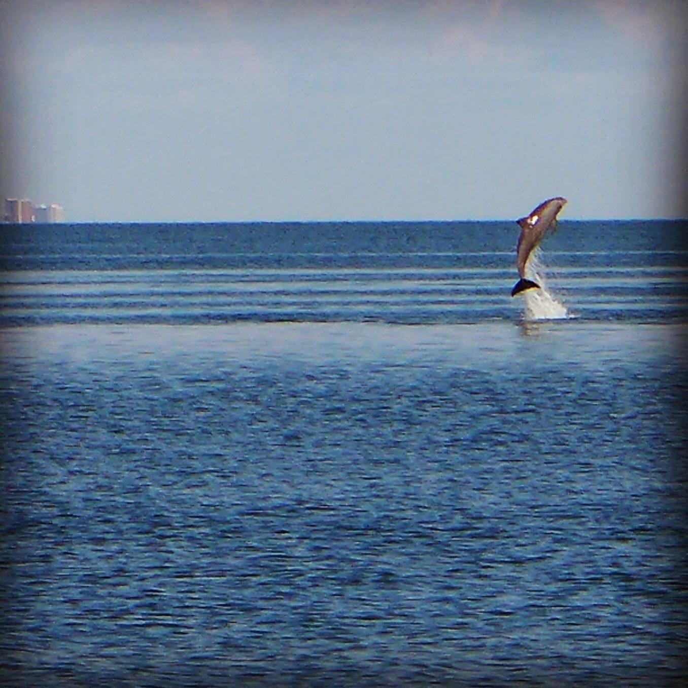 Chandeleur Islands Fishing Charters – Venice Fishing Charter