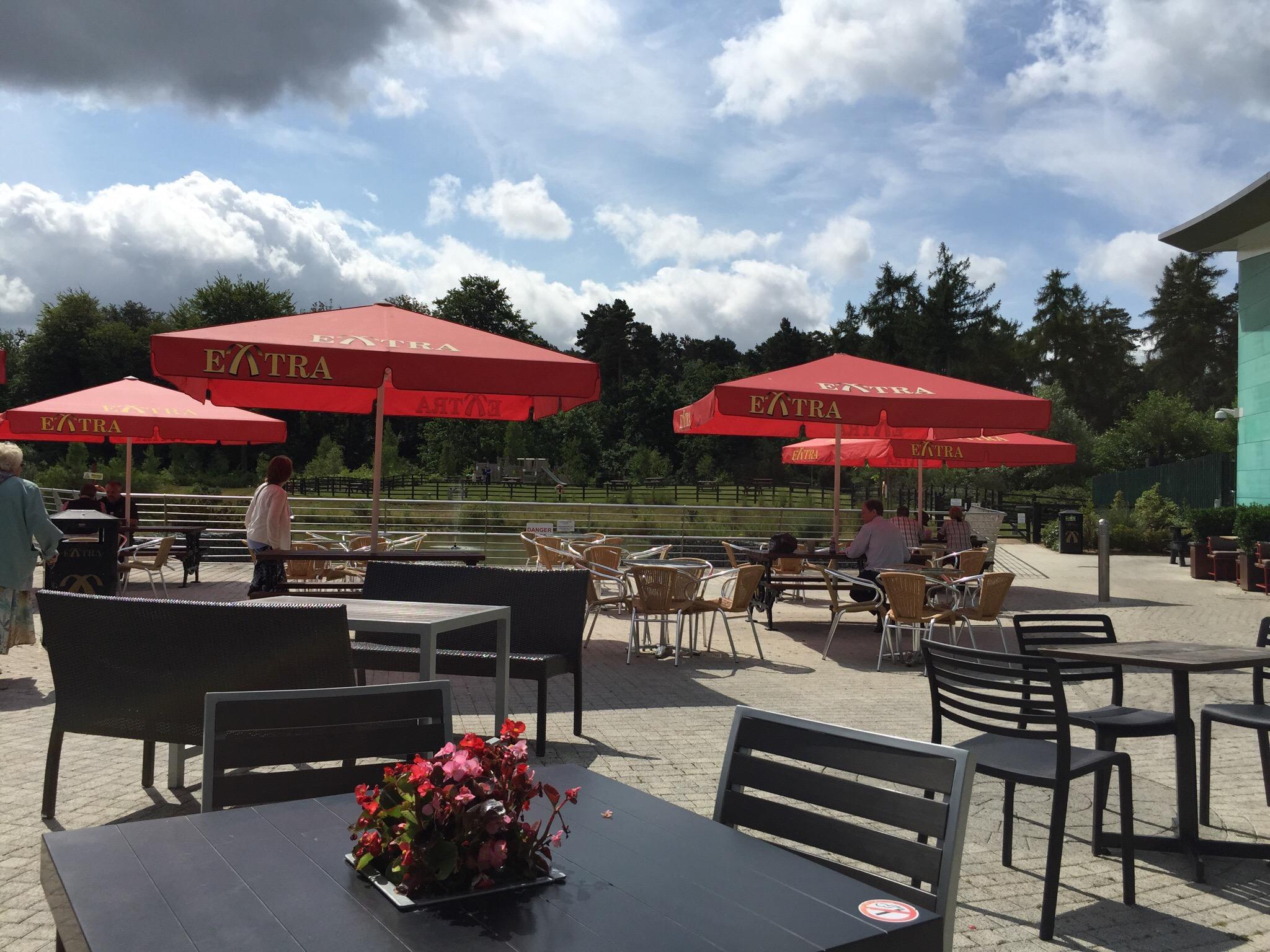 The Hope and Champion