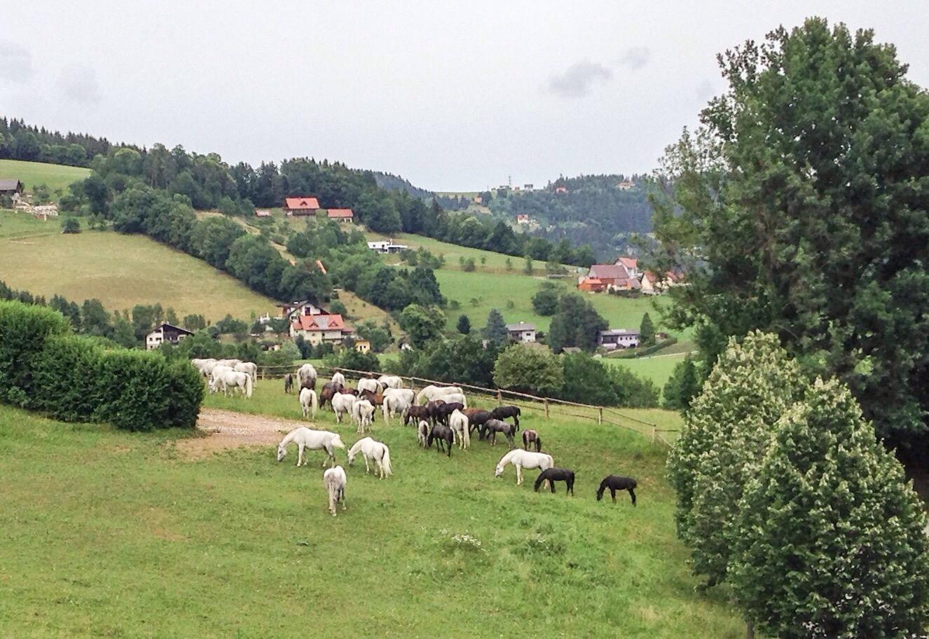 Gastehaus Cafe Andrea