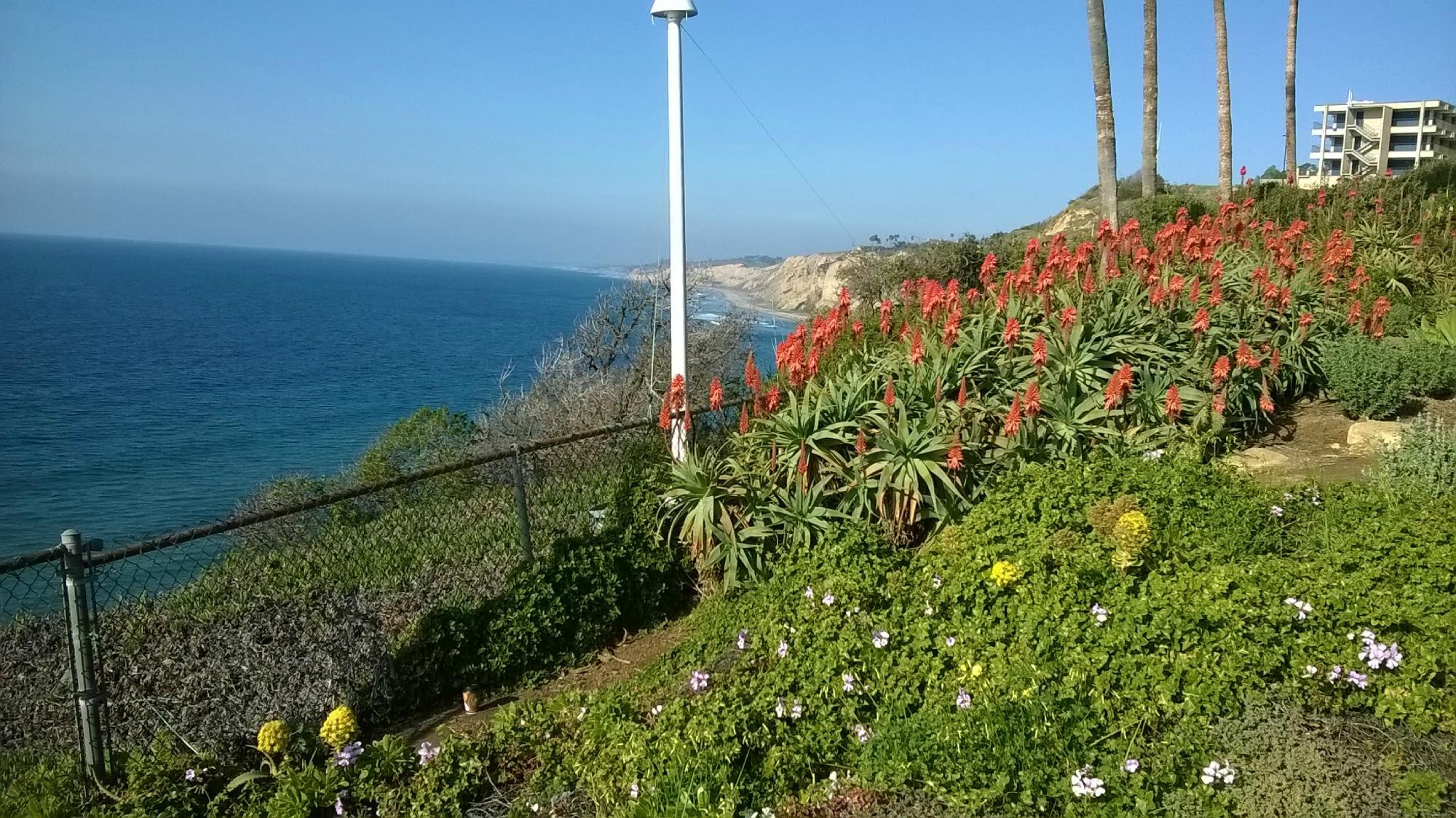 Scripps Institute of Oceanography Coastal Reserve