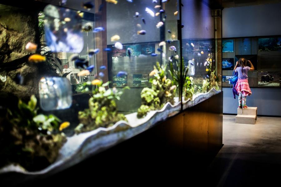 Zoom Natury Recreation Park