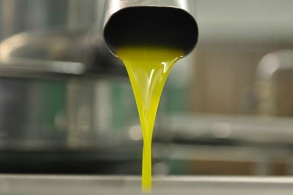 Oleificio Goccia d'Oro di Calabria